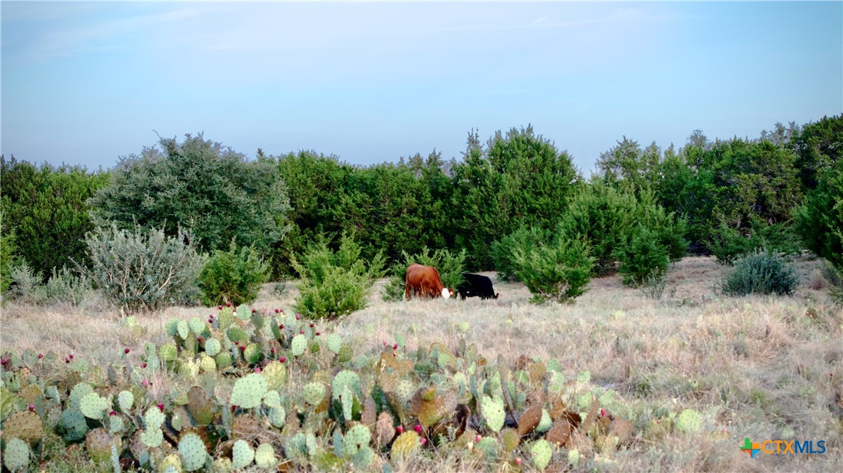 Lot 2A Private Road 1240