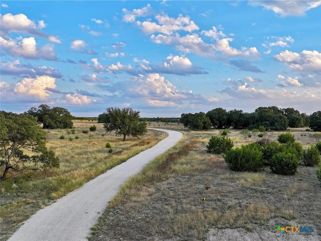 Gravel driveway winds through open grassland dotted with trees and shrubs.