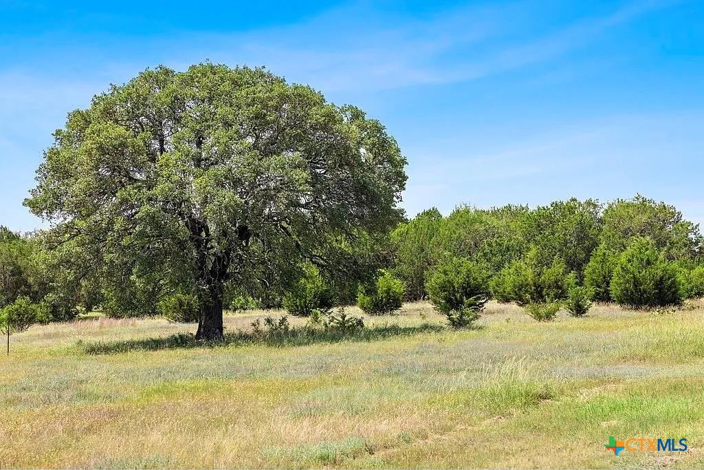 Grassy acreage with a large oak tree and wooded background.