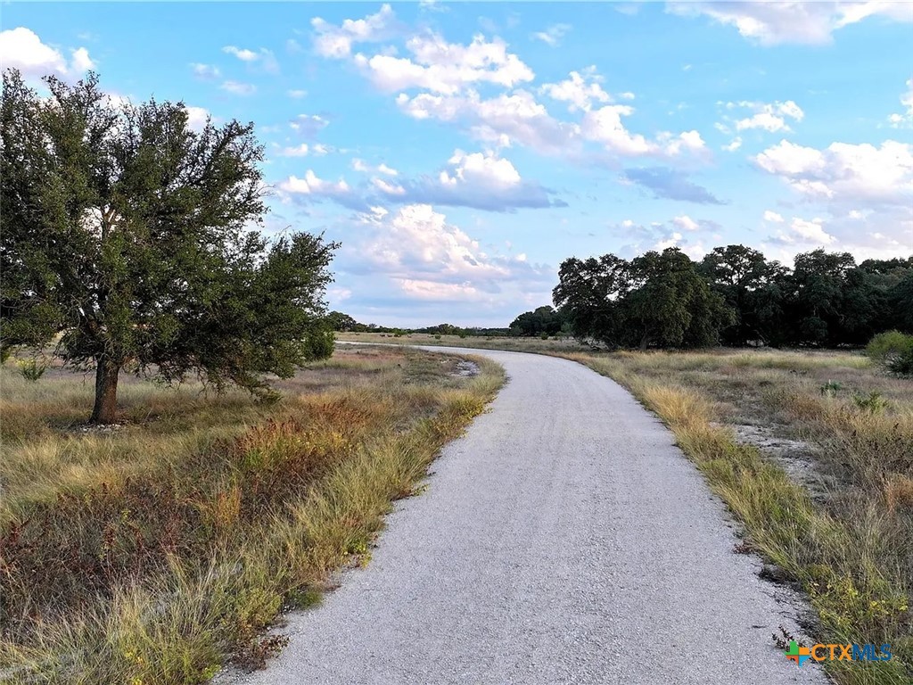 Gravel road curving through open grassland, with mature trees along the property.