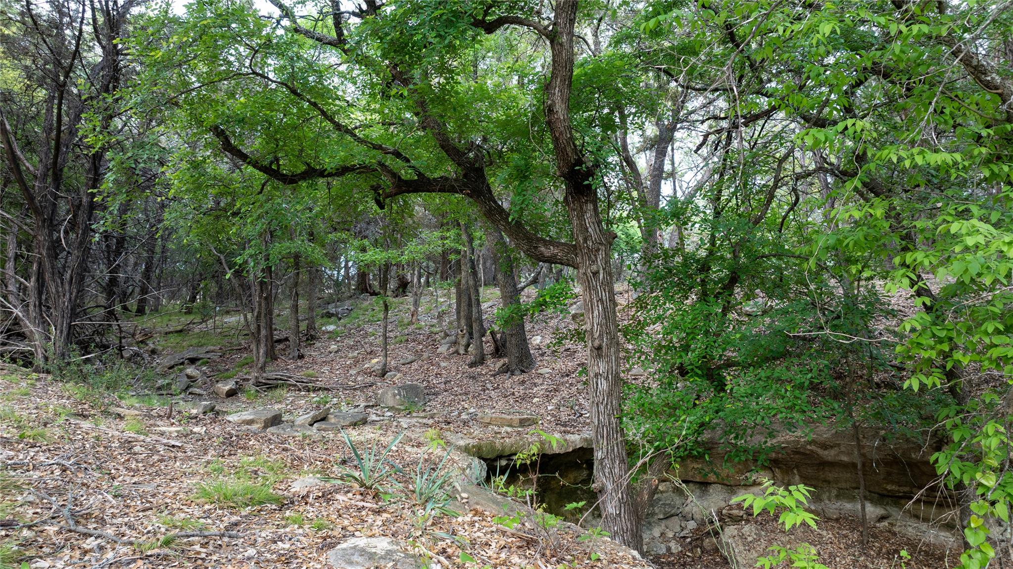 TBD N Us Highway 281