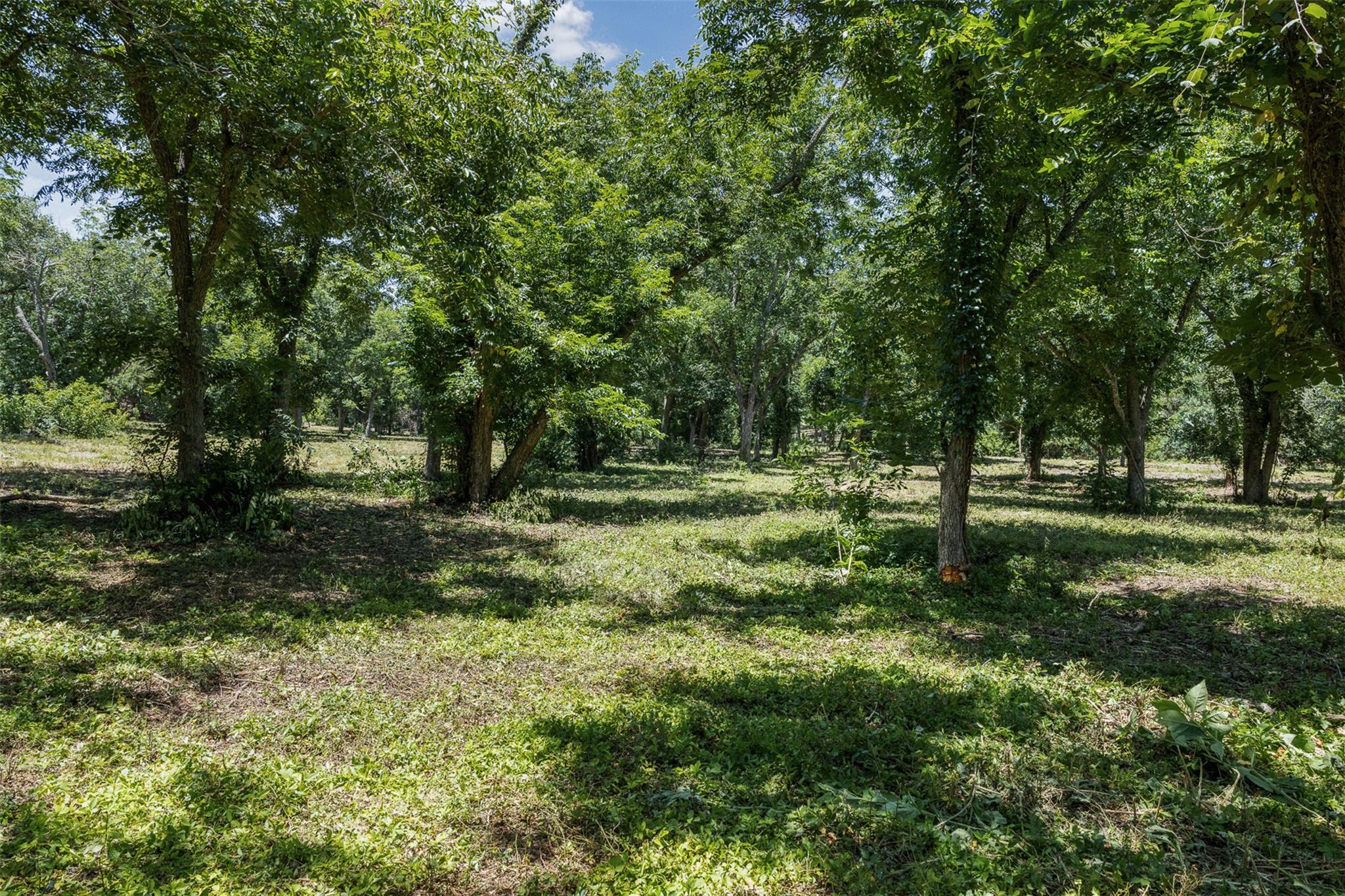 2185 FM 184