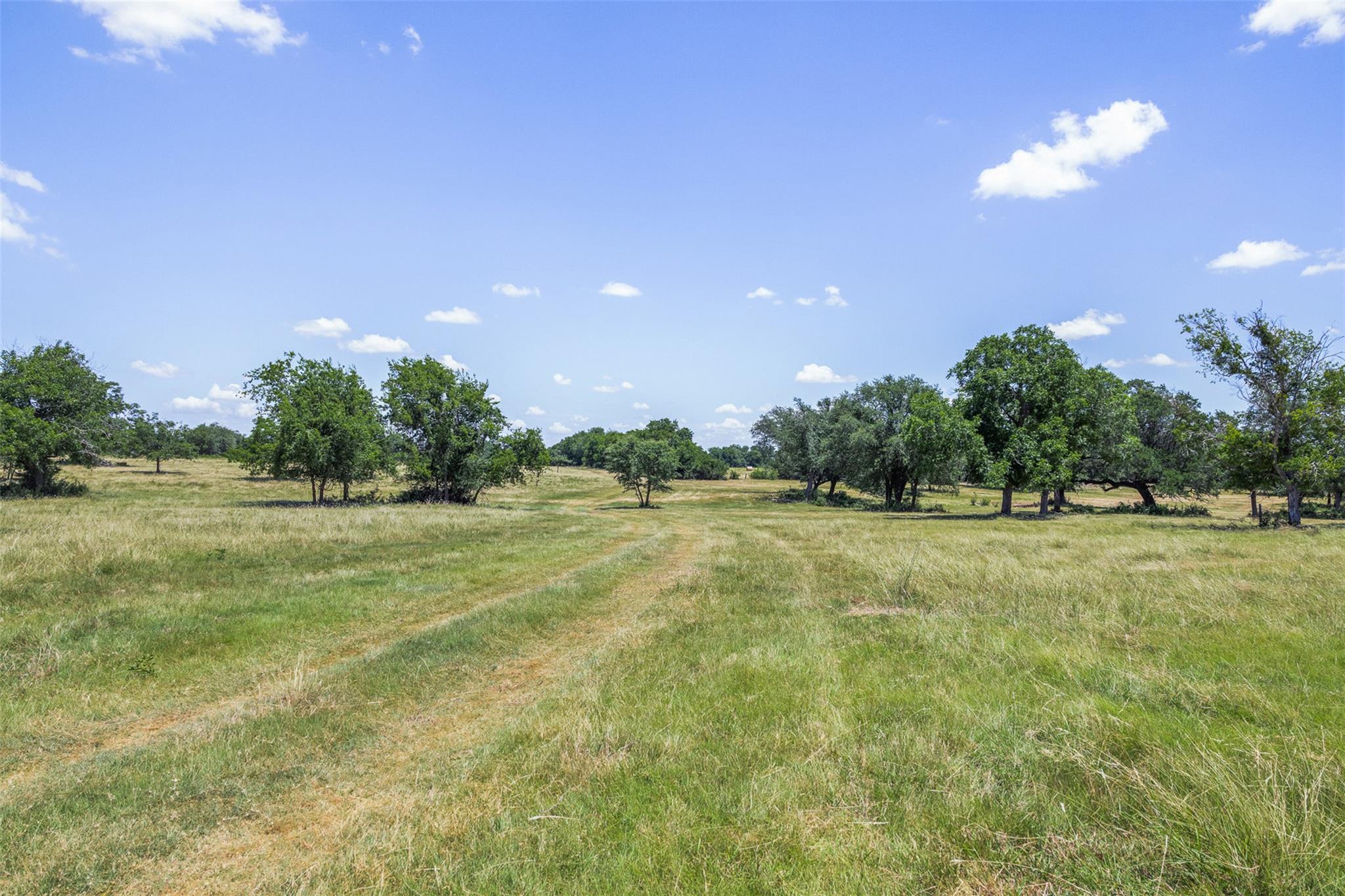 2185 FM 184