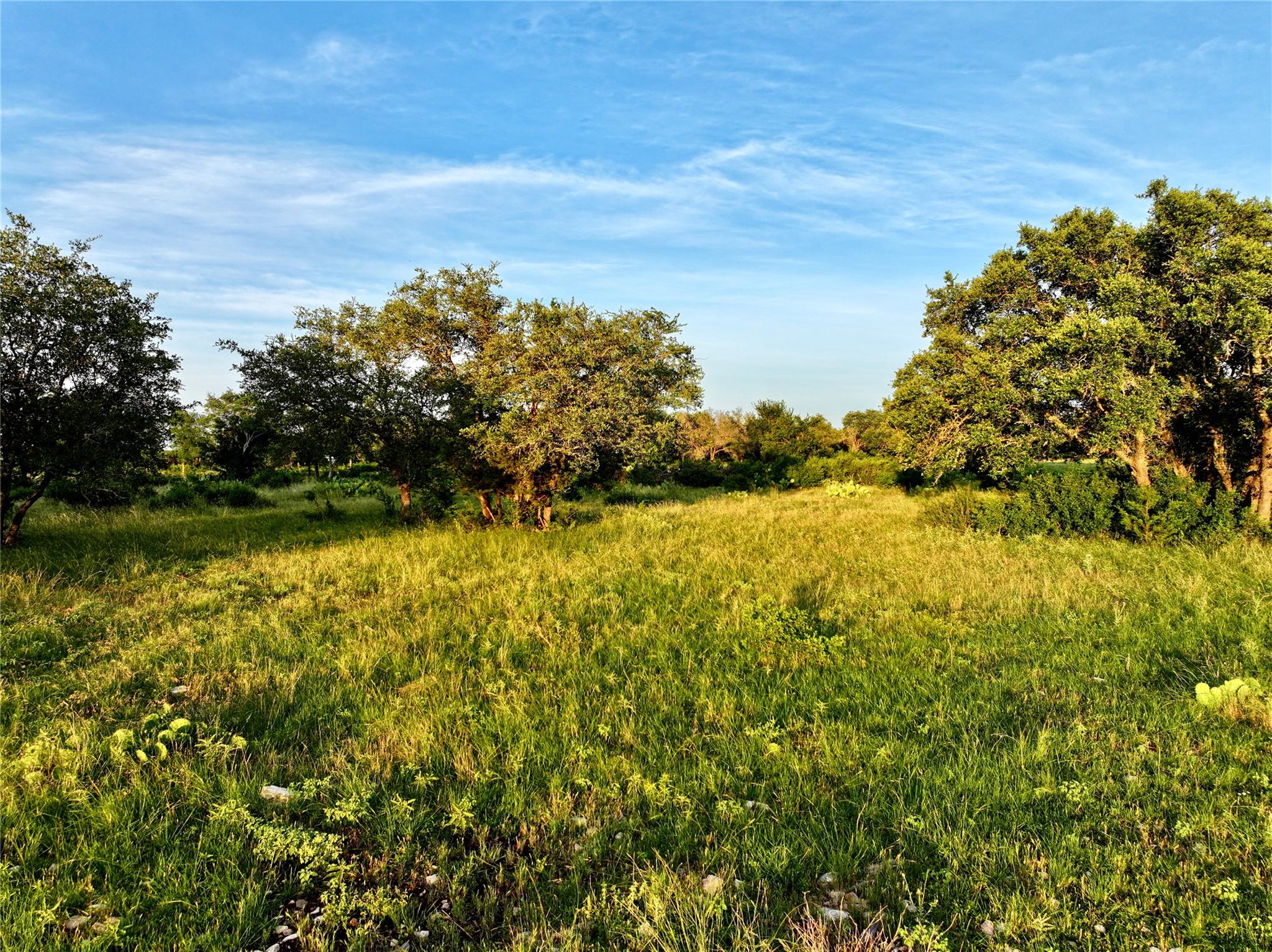 Lot 4 CR 220