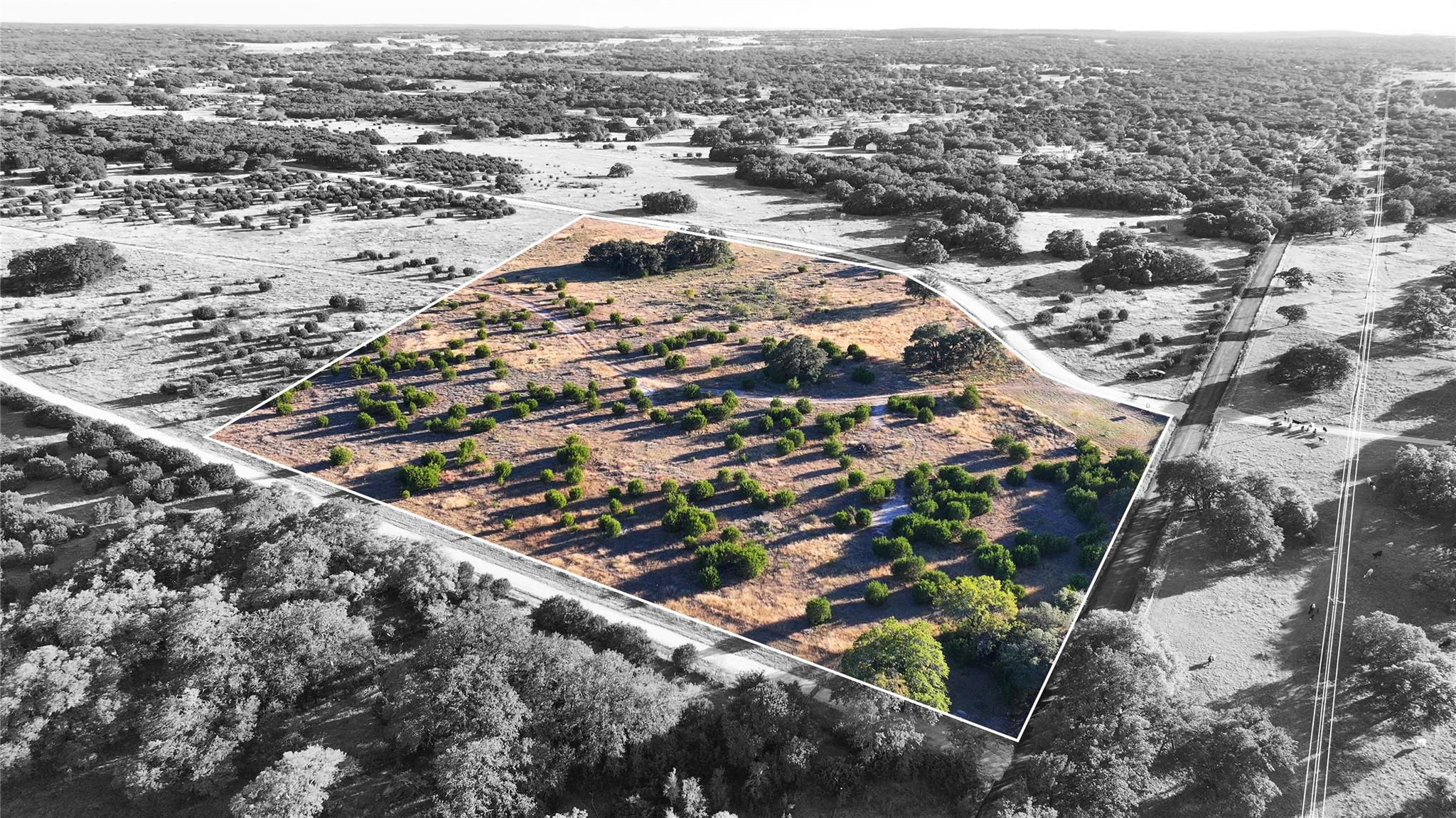 Lot 1 Bluestem LN
