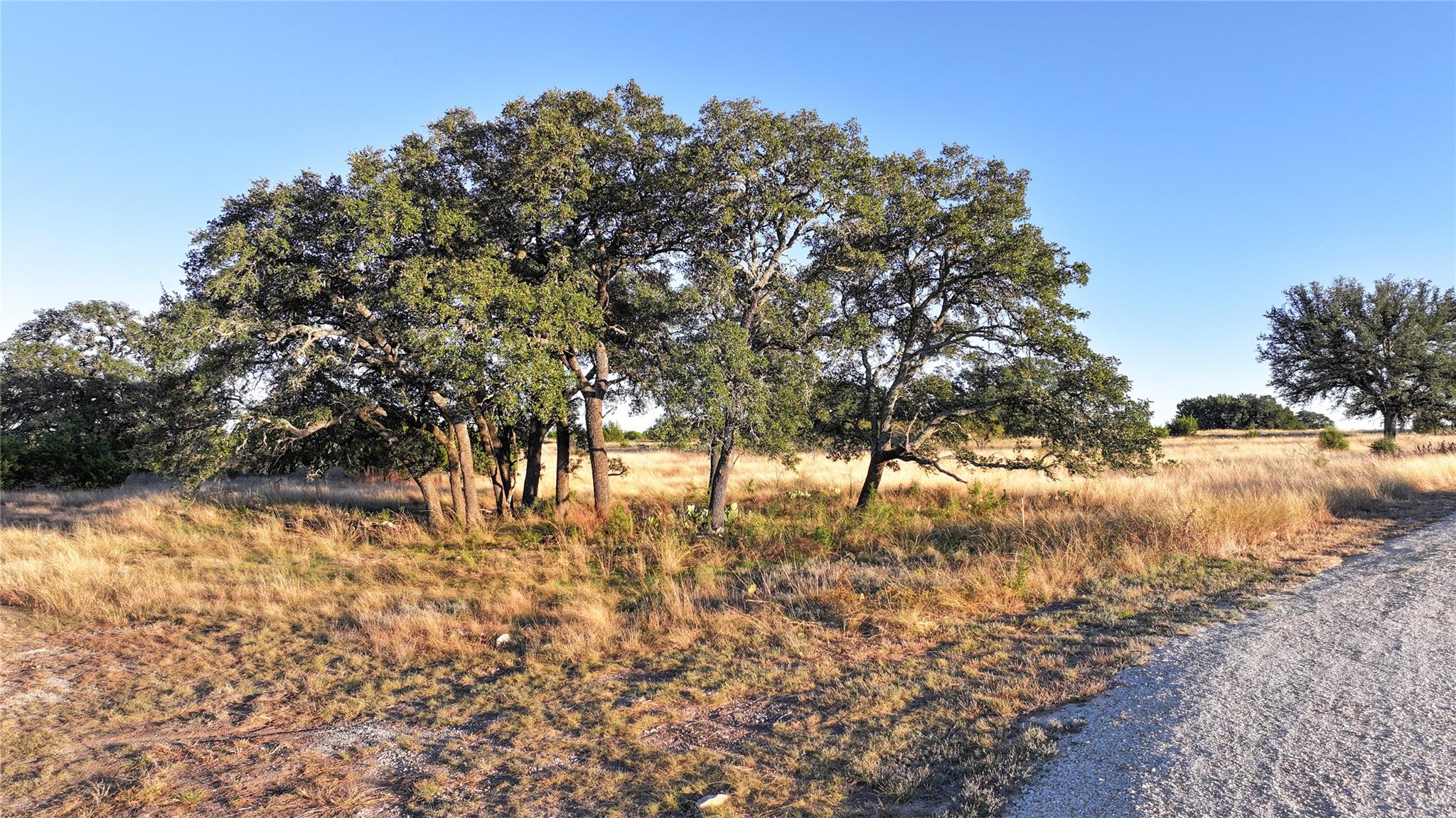 Lot 1 Bluestem LN