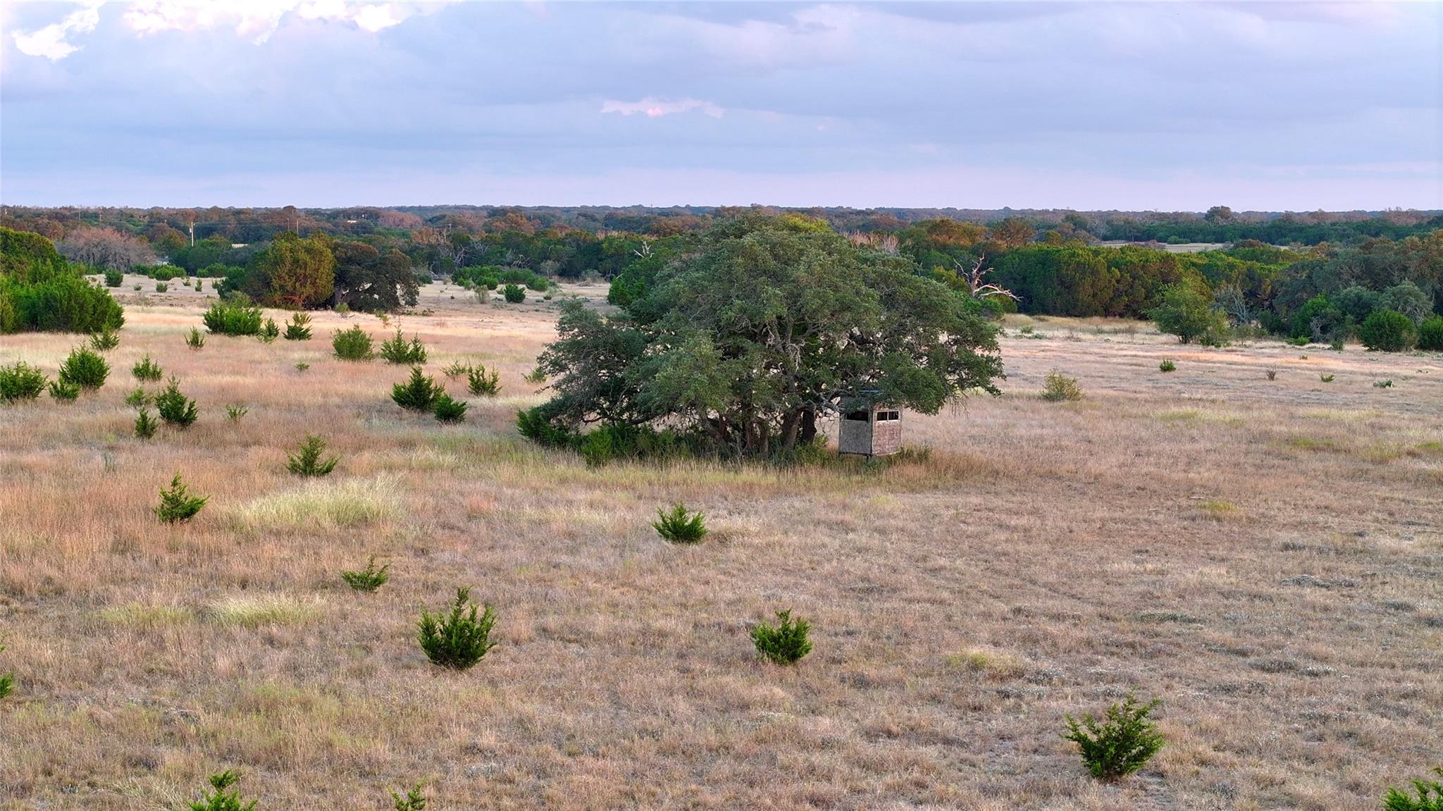 Lot 1 Bluestem LN