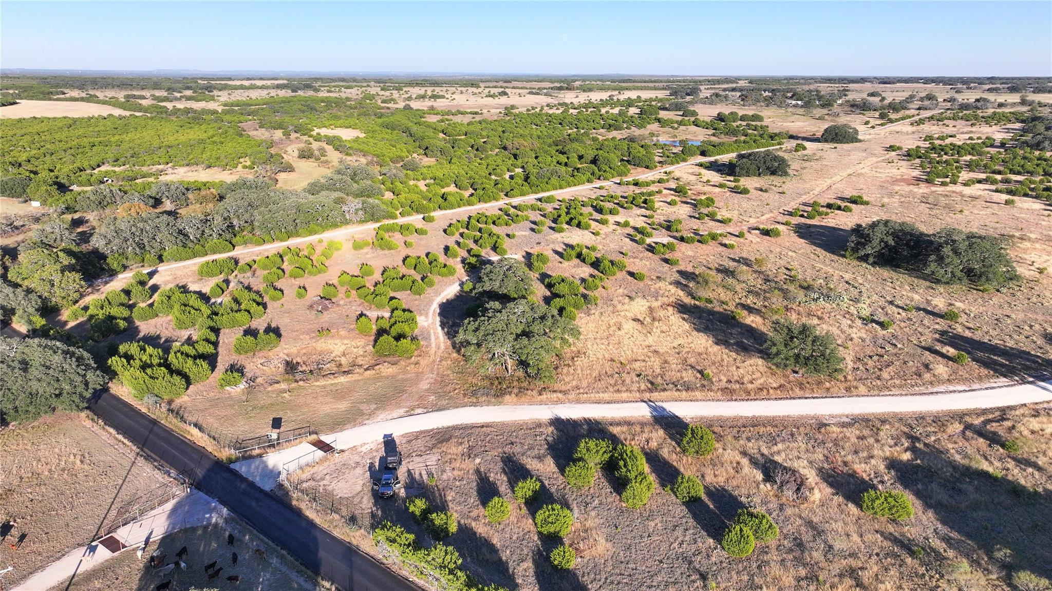 Lot 1 Bluestem LN