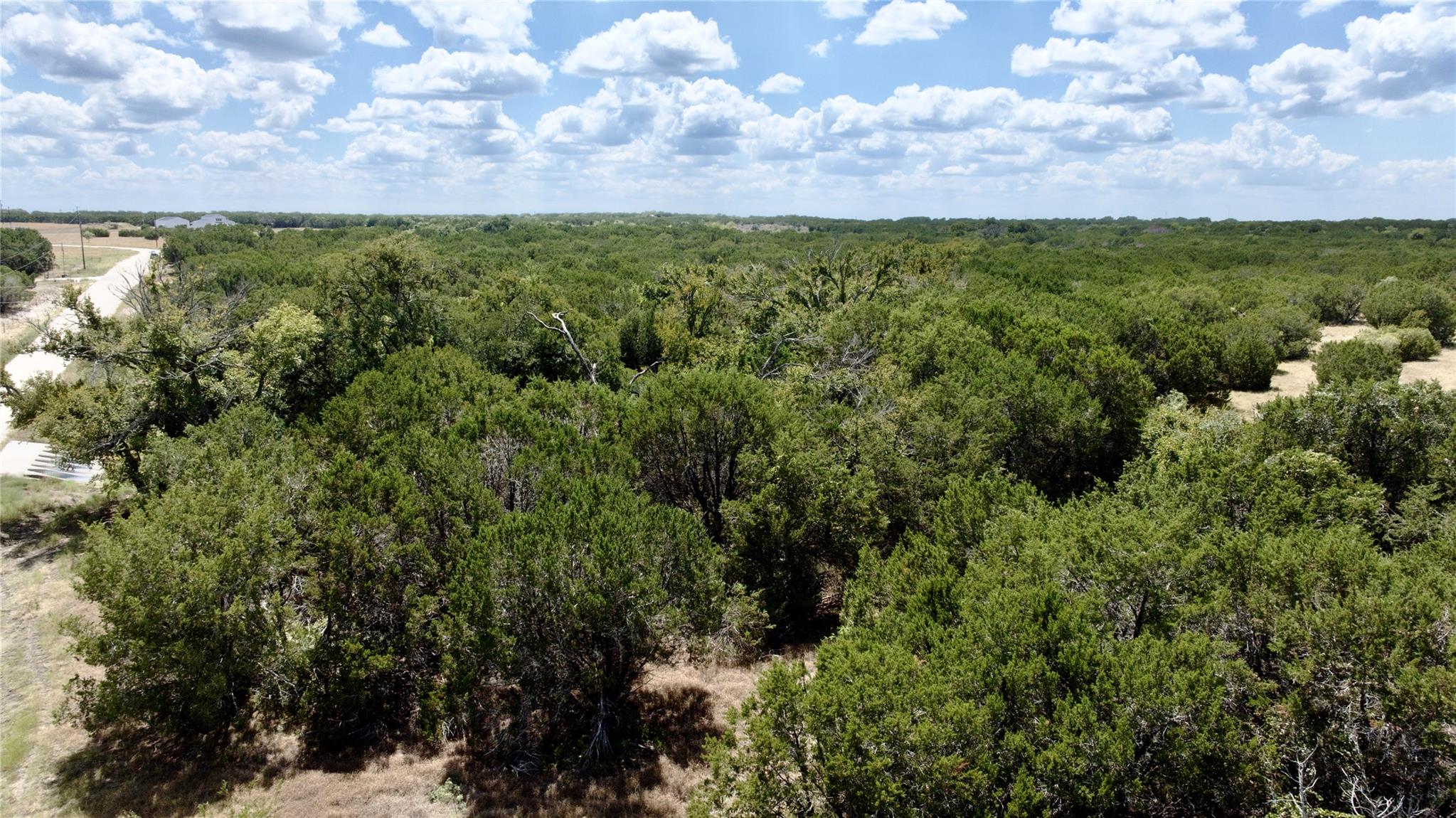 Wooded land with dense green trees, a pale access road, and open patches beneath a partly cloudy sky.