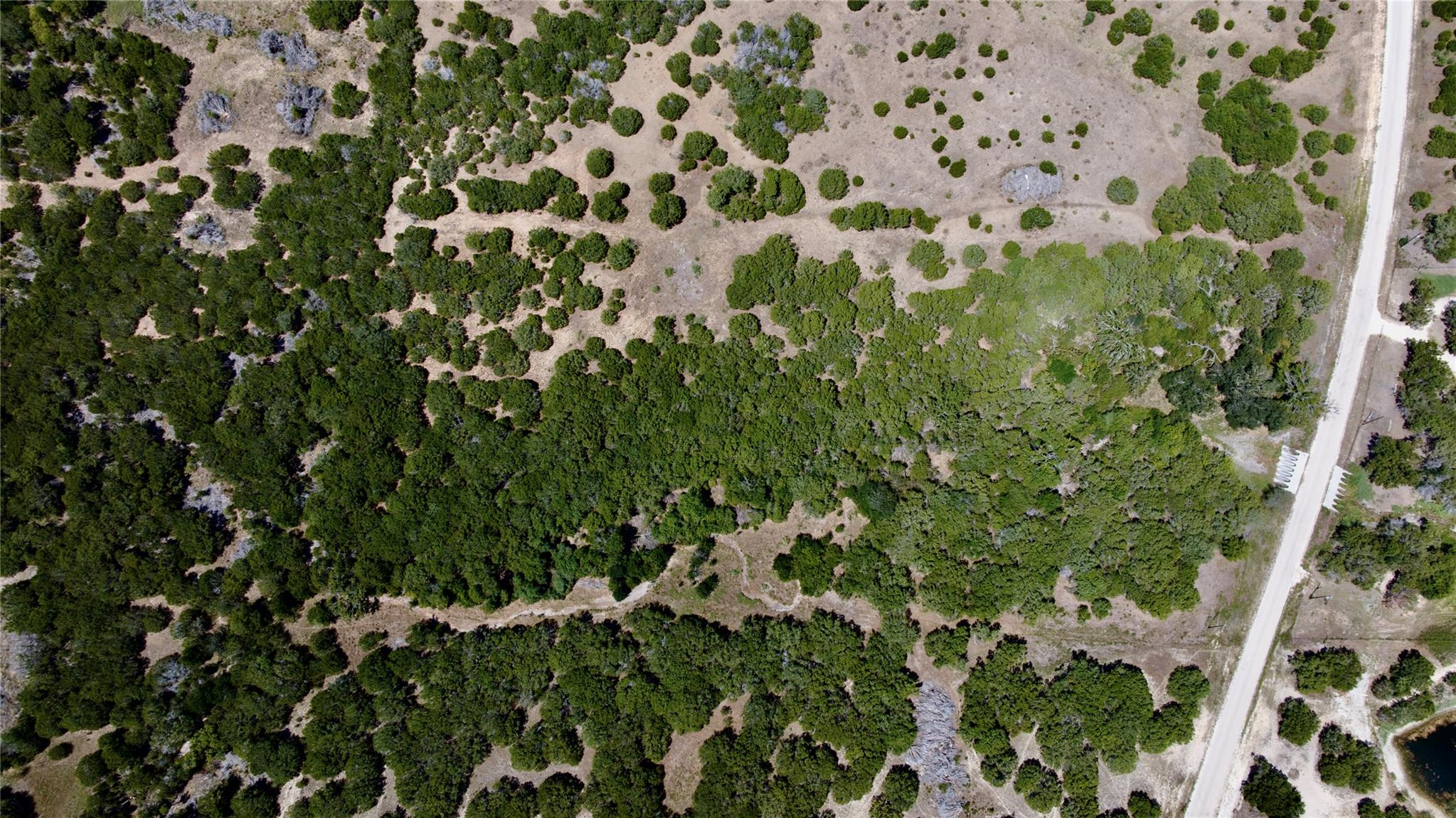 Aerial view of a partly wooded vacant lot with open clearings beside a road.