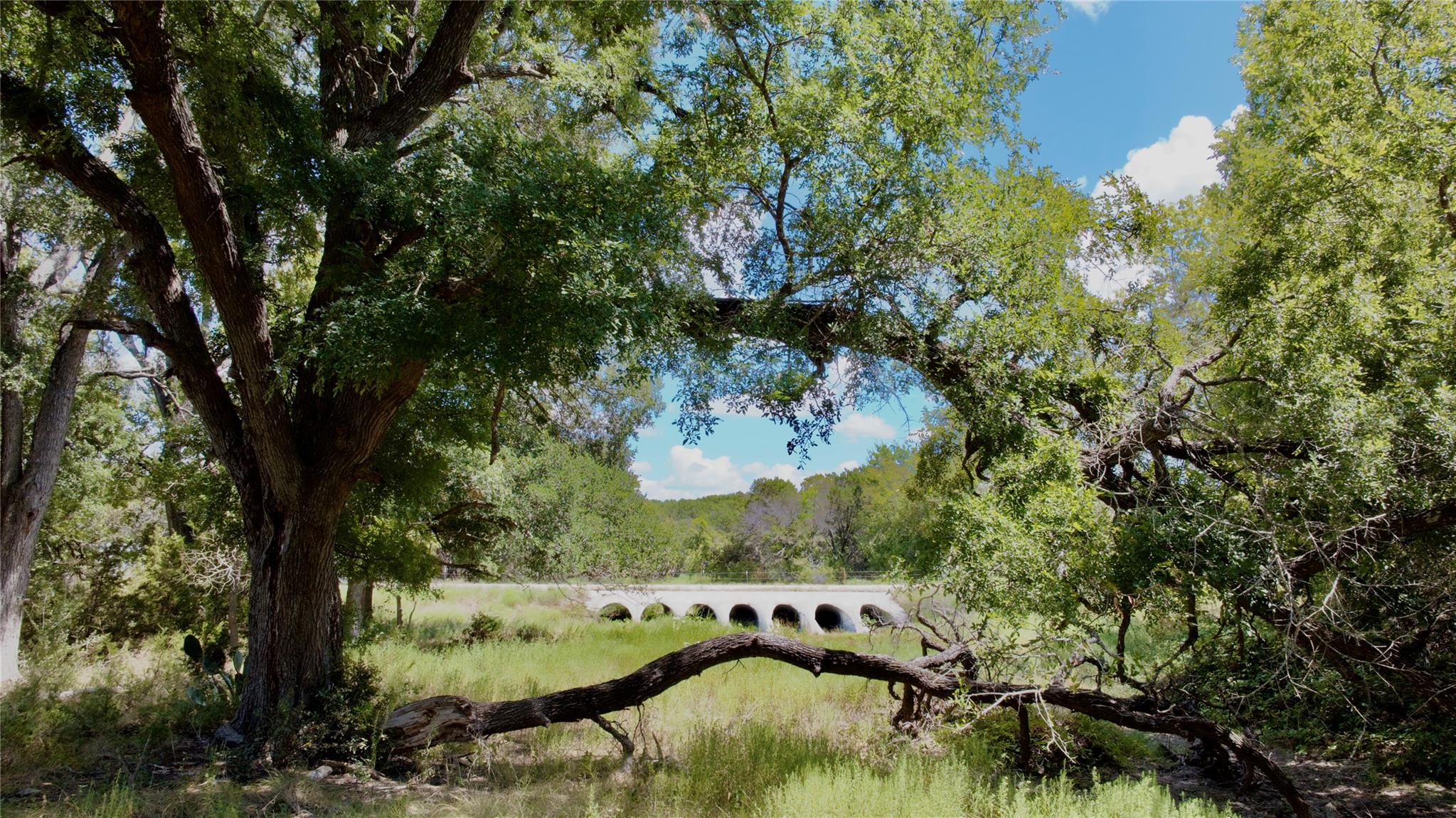 Wooded lot with mature trees, a grassy clearing, and a concrete culvert crossing.