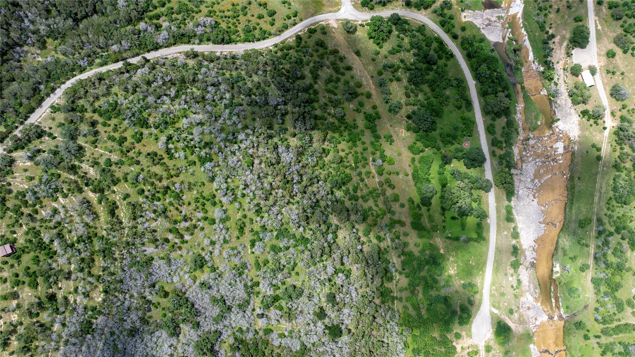 LOT MCE 2-A Chestnut XING