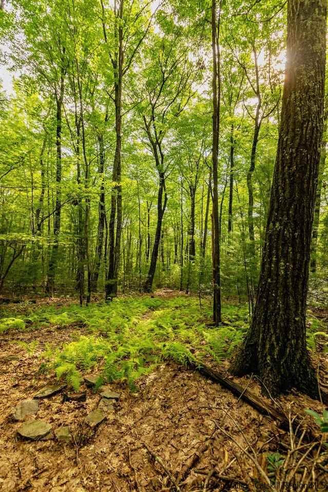 TBD Schroon Hill Road