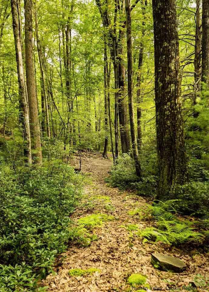 TBD Schroon Hill Road