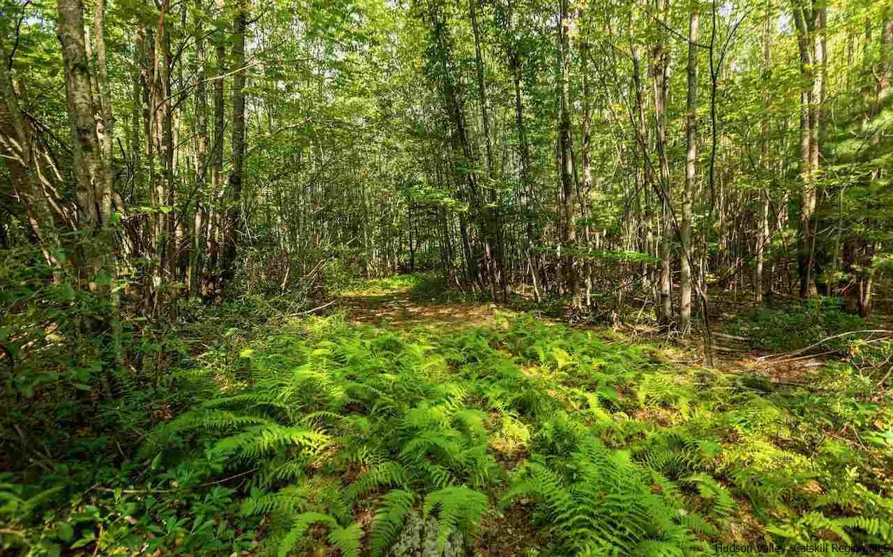 TBD Schroon Hill Road