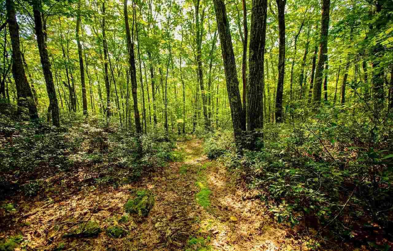 TBD Schroon Hill Road