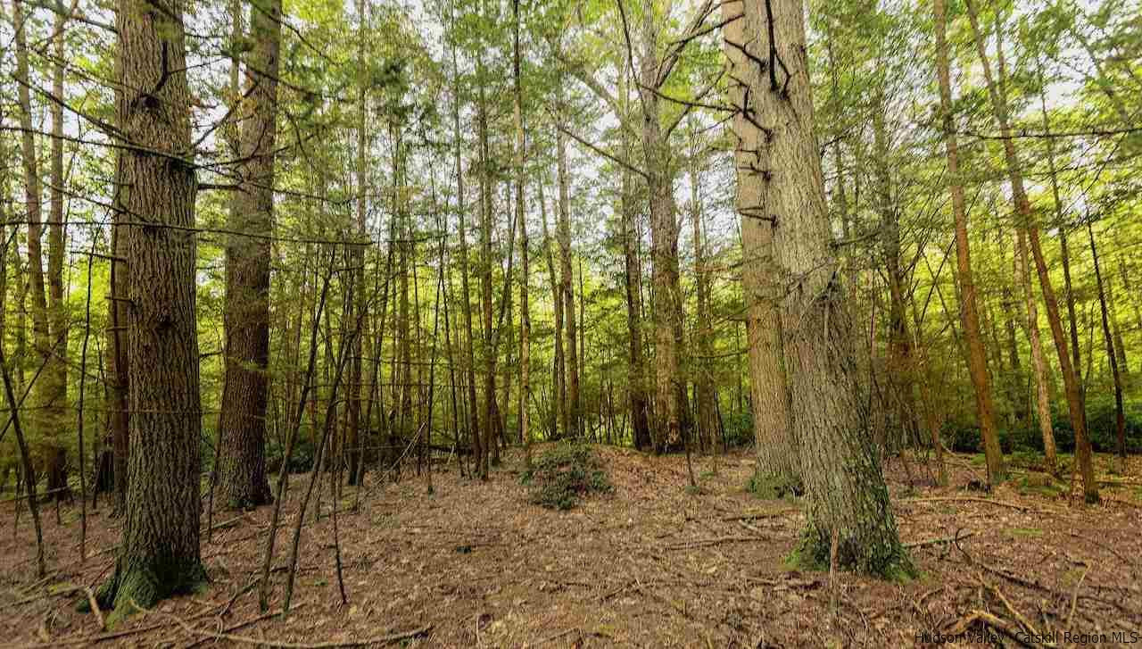 TBD Schroon Hill Road