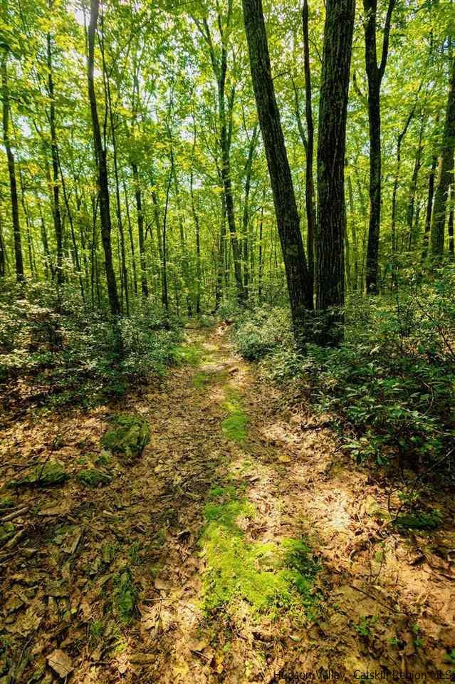 TBD Schroon Hill Road