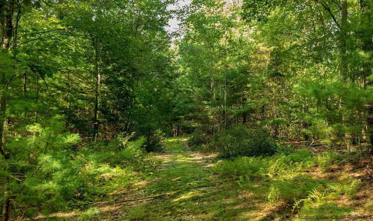 TBD Schroon Hill Road