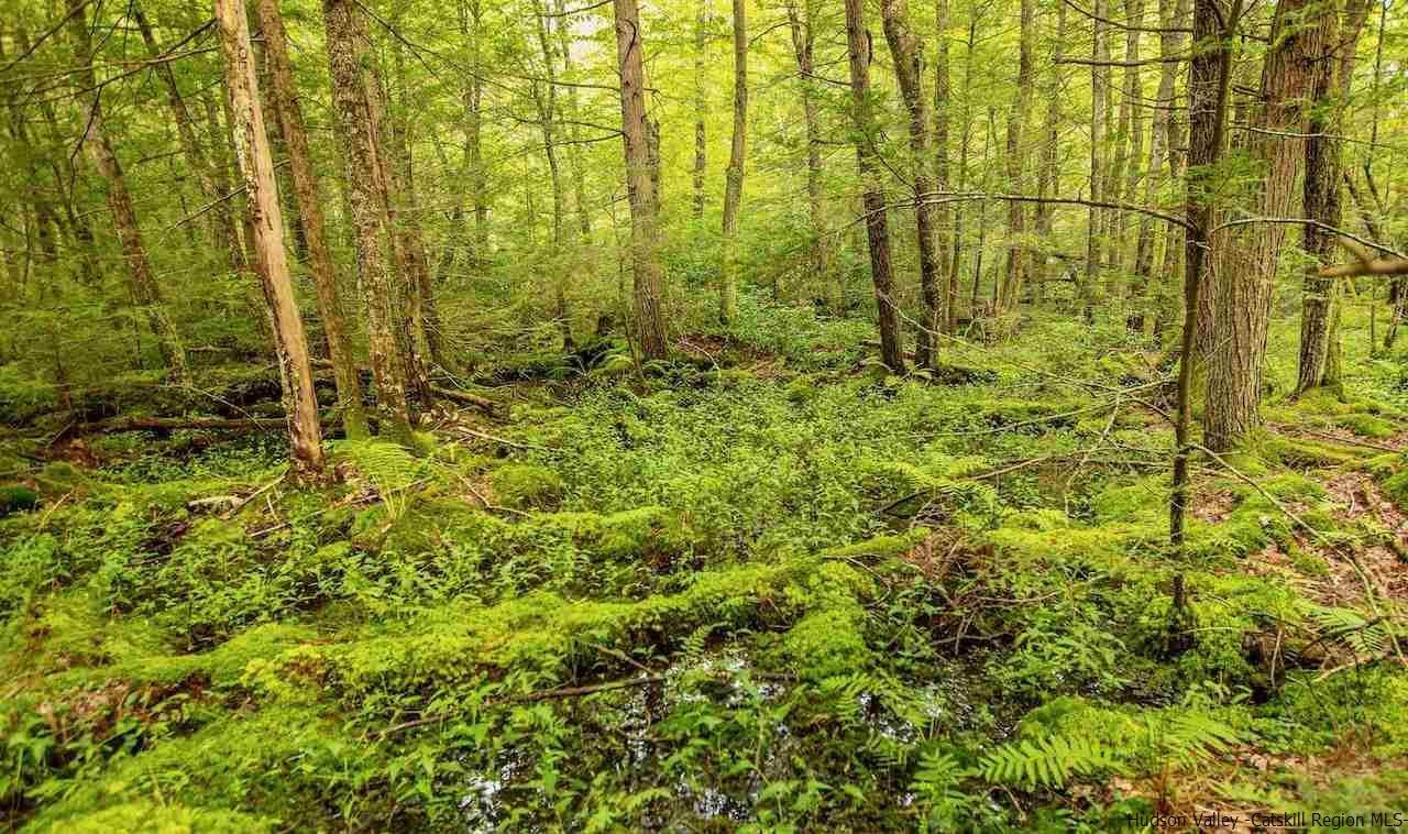 TBD Schroon Hill Road