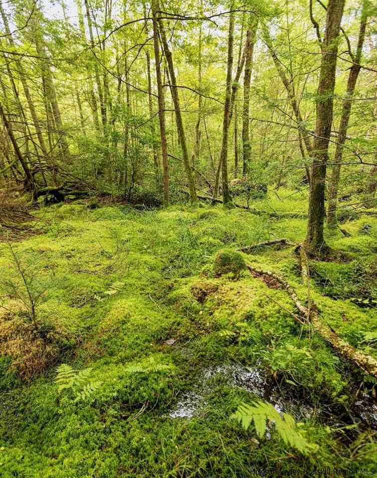 TBD Schroon Hill Road