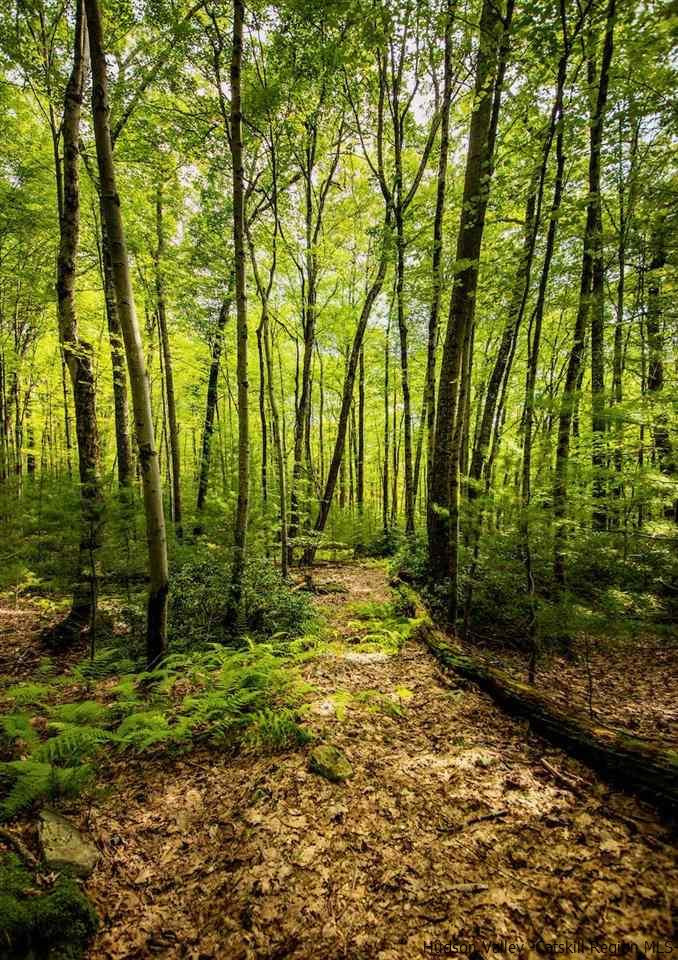 TBD Schroon Hill Road