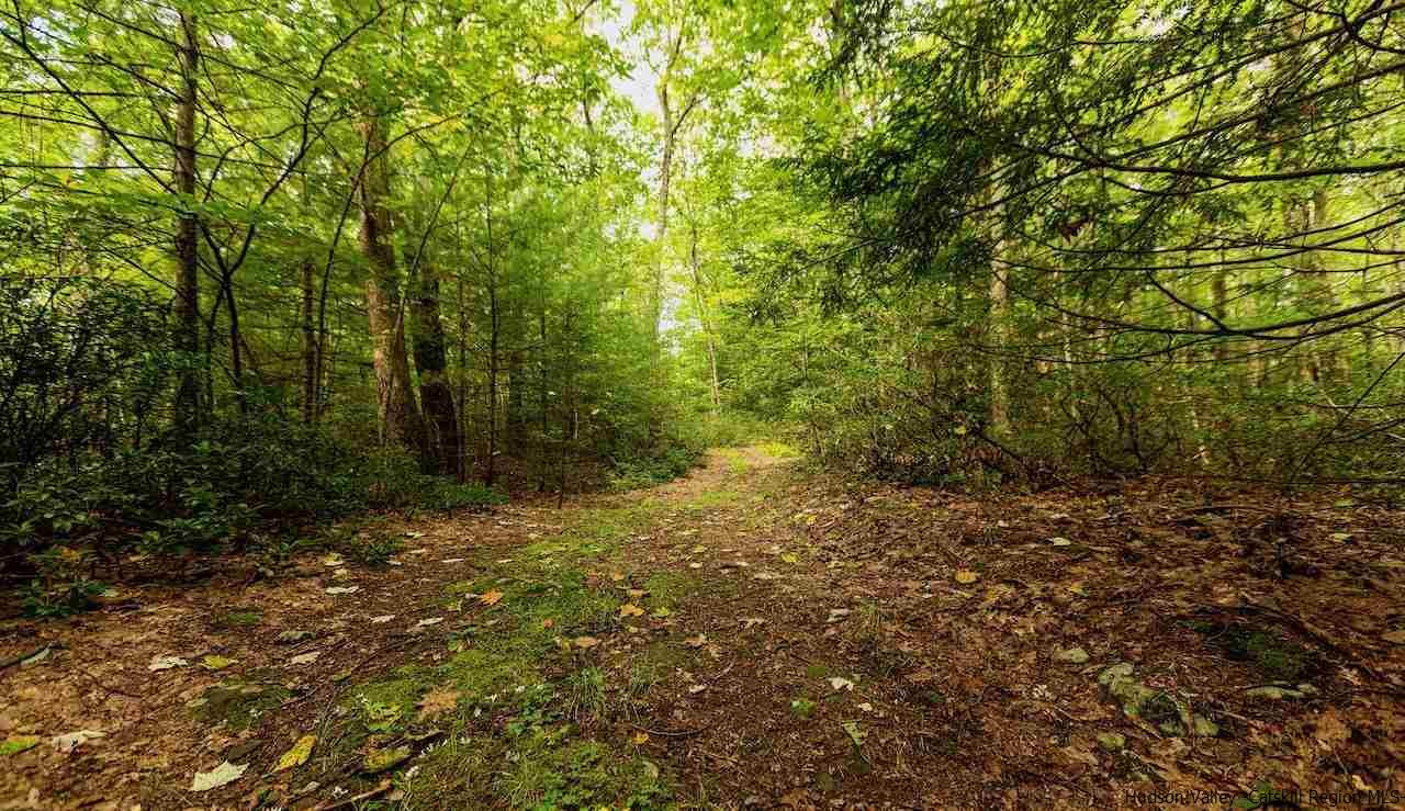 TBD Schroon Hill Road