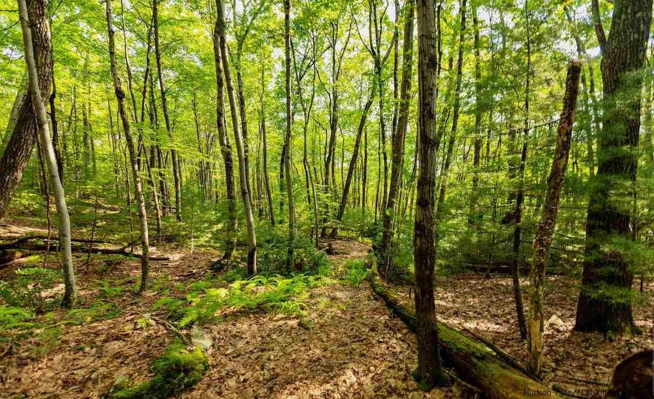TBD Schroon Hill Road