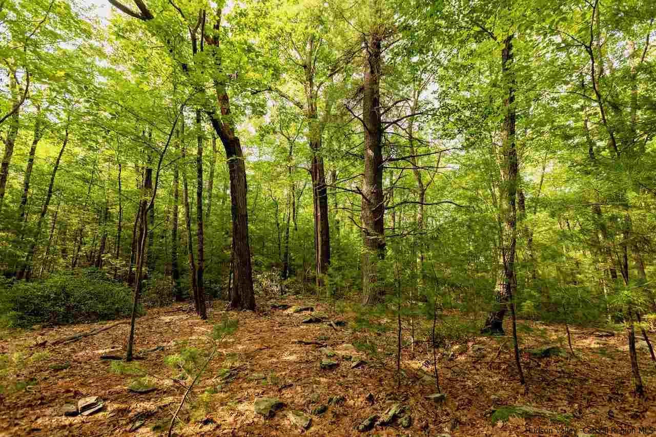 TBD Schroon Hill Road