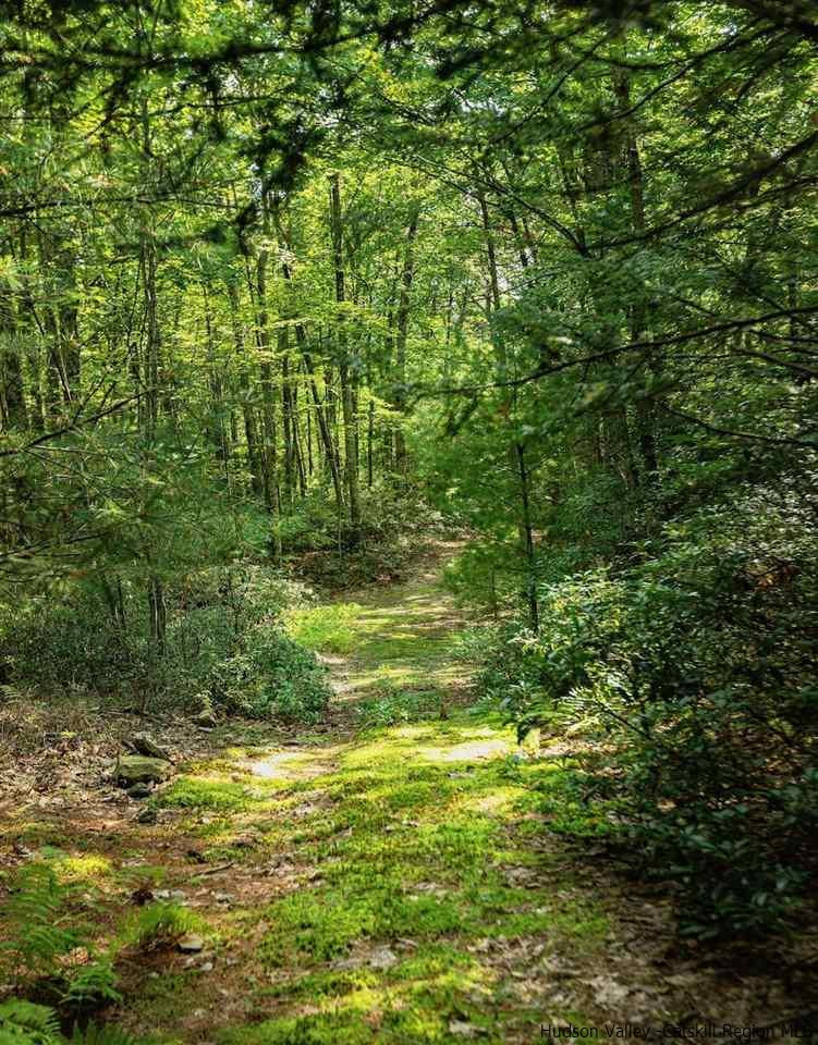 TBD Schroon Hill Road