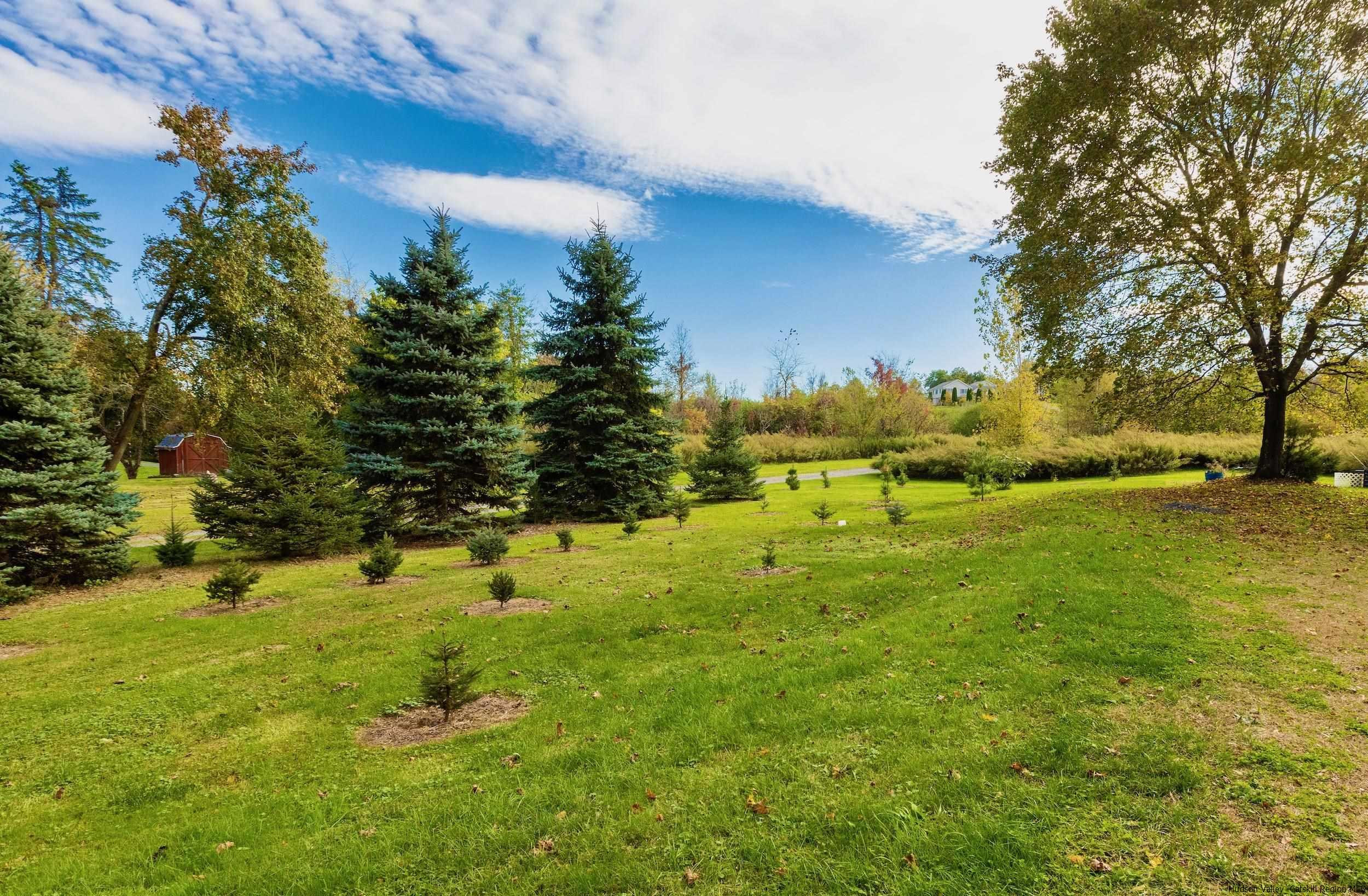 236 Chapel Hill Road