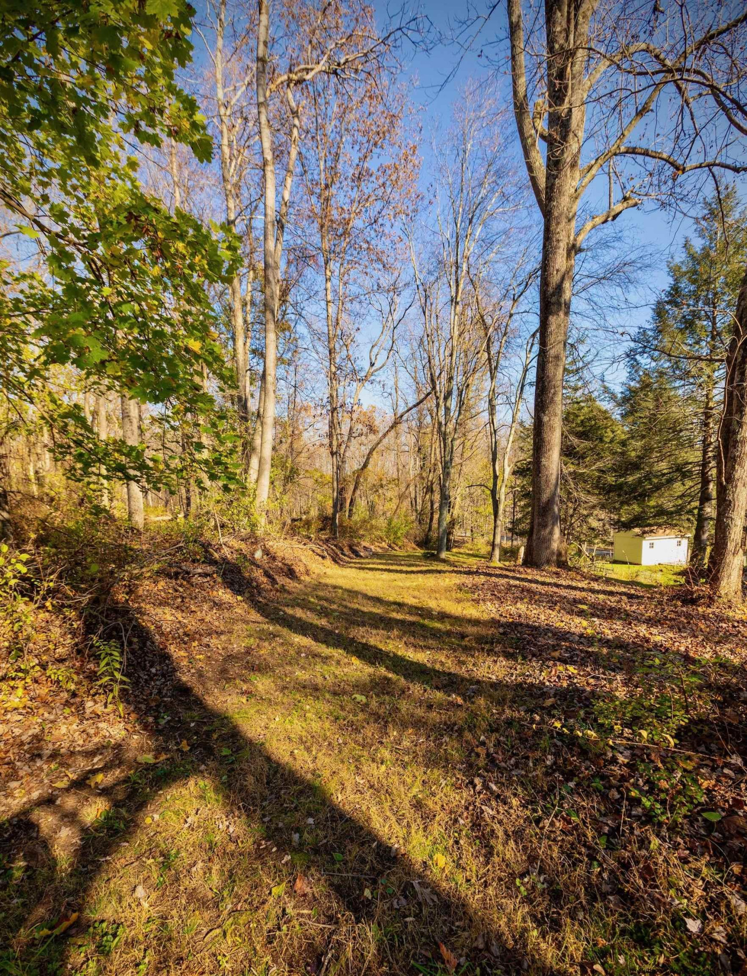 618 Plutarch Road