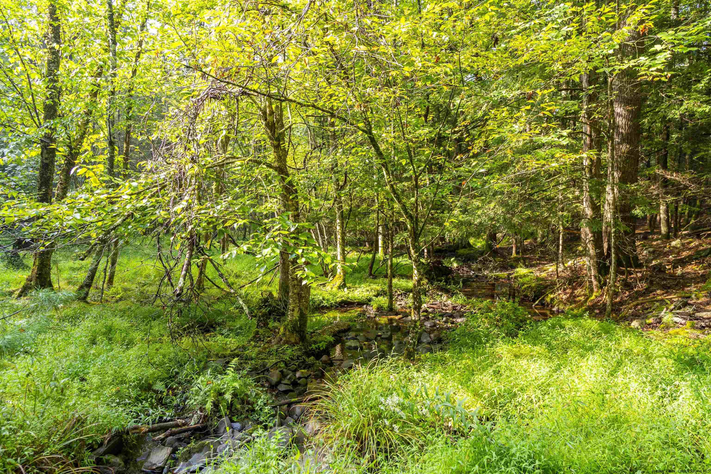 000 Pine Grove Road