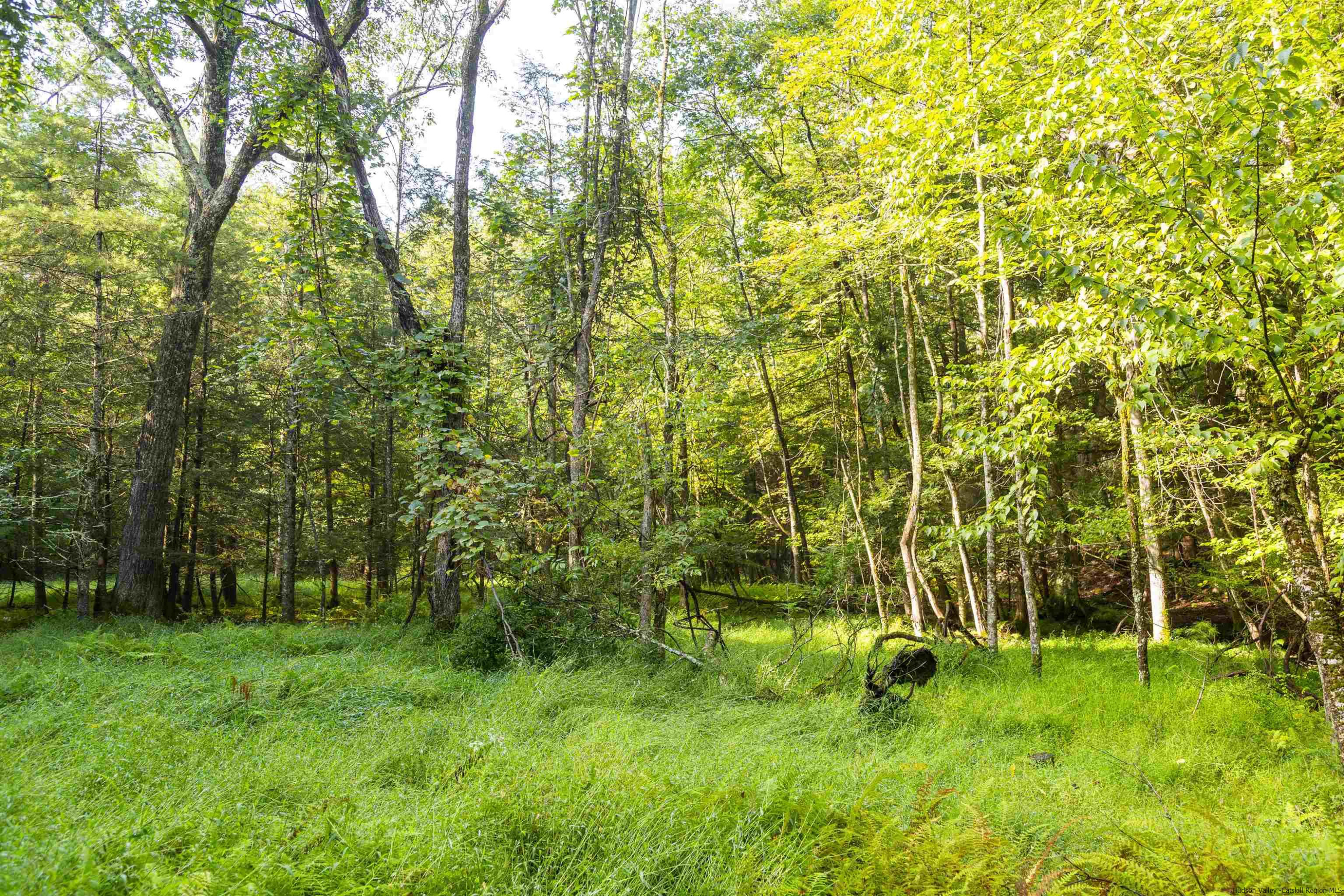 000 Pine Grove Road