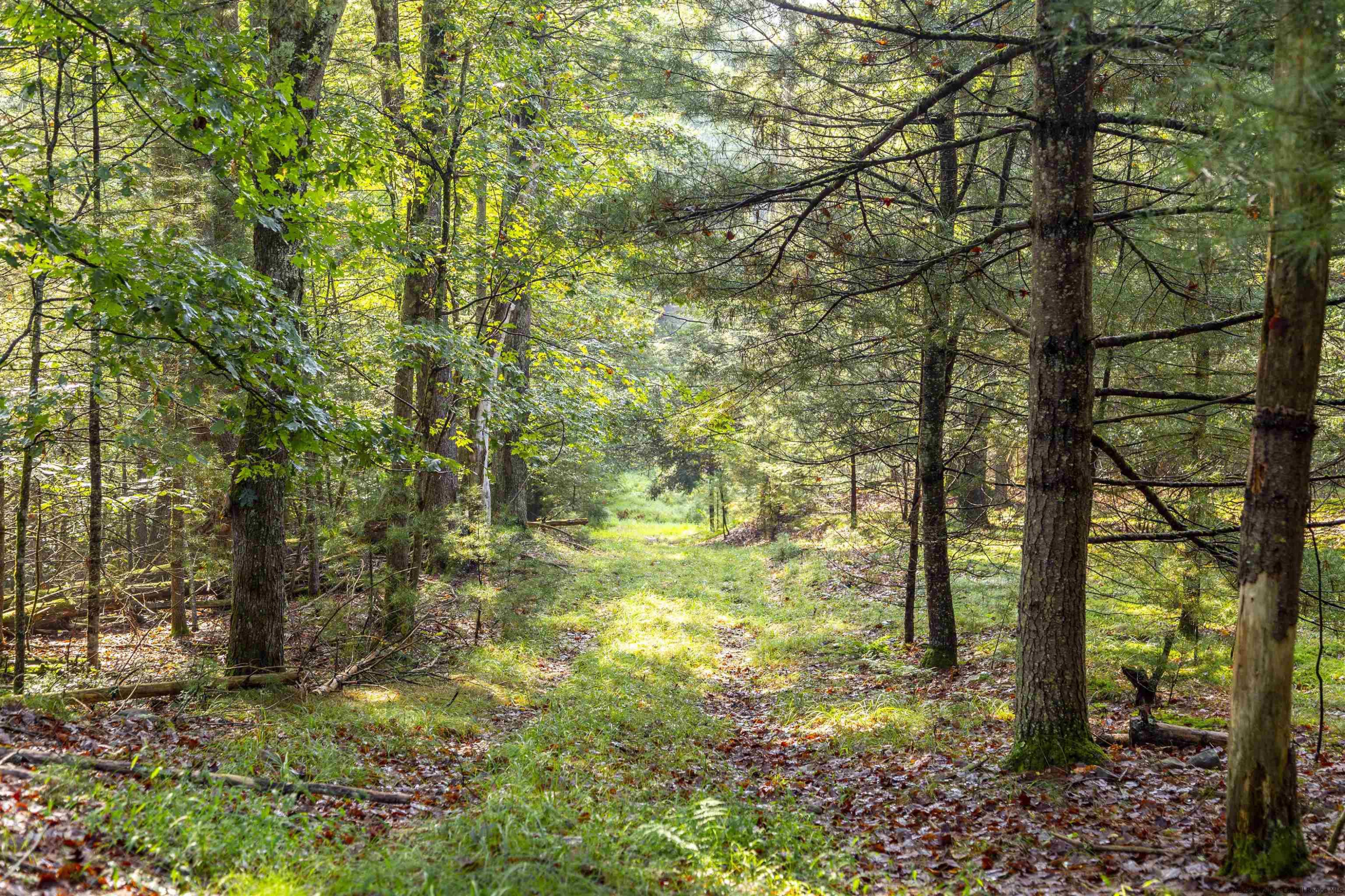 000 Pine Grove Road