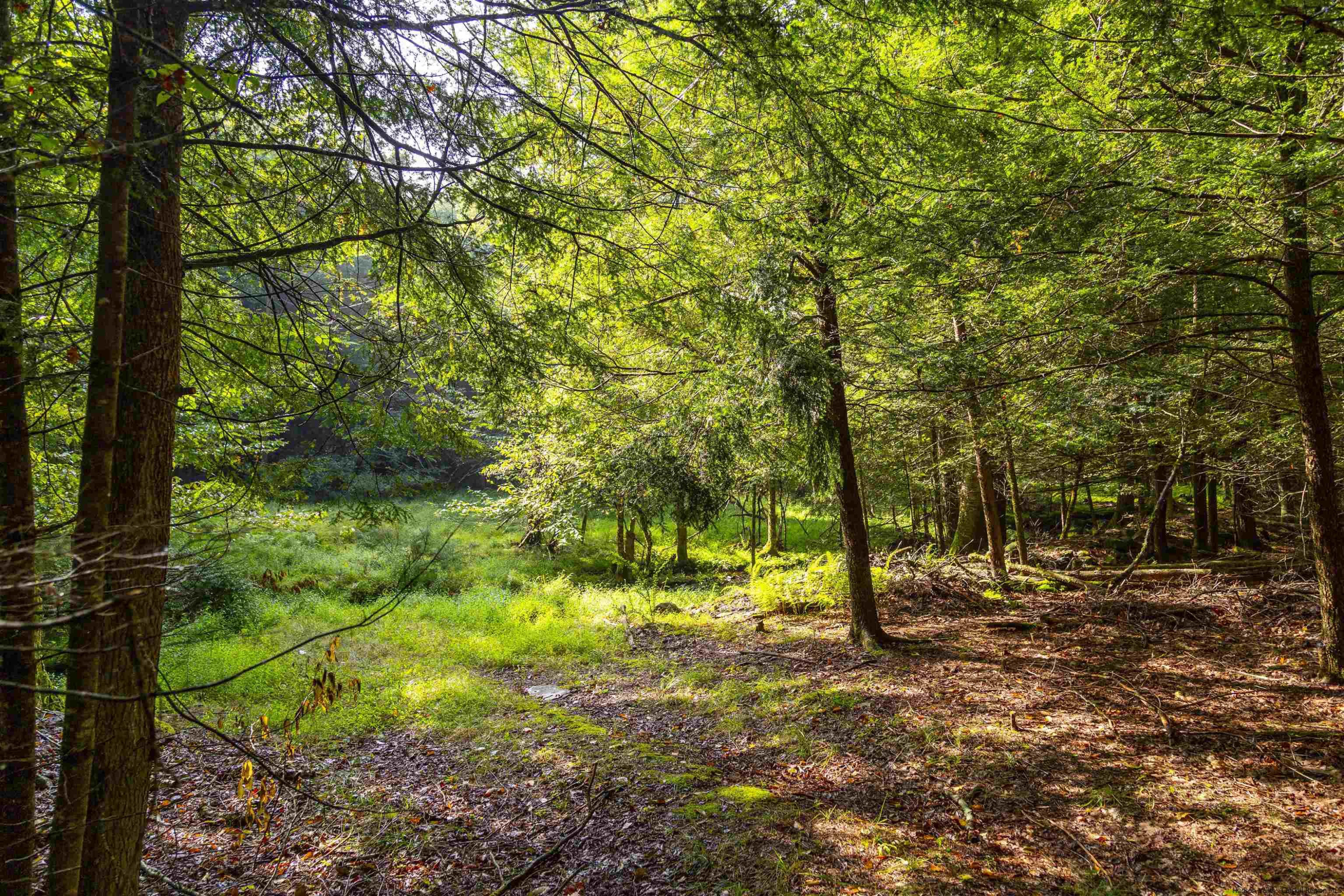 000 Pine Grove Road