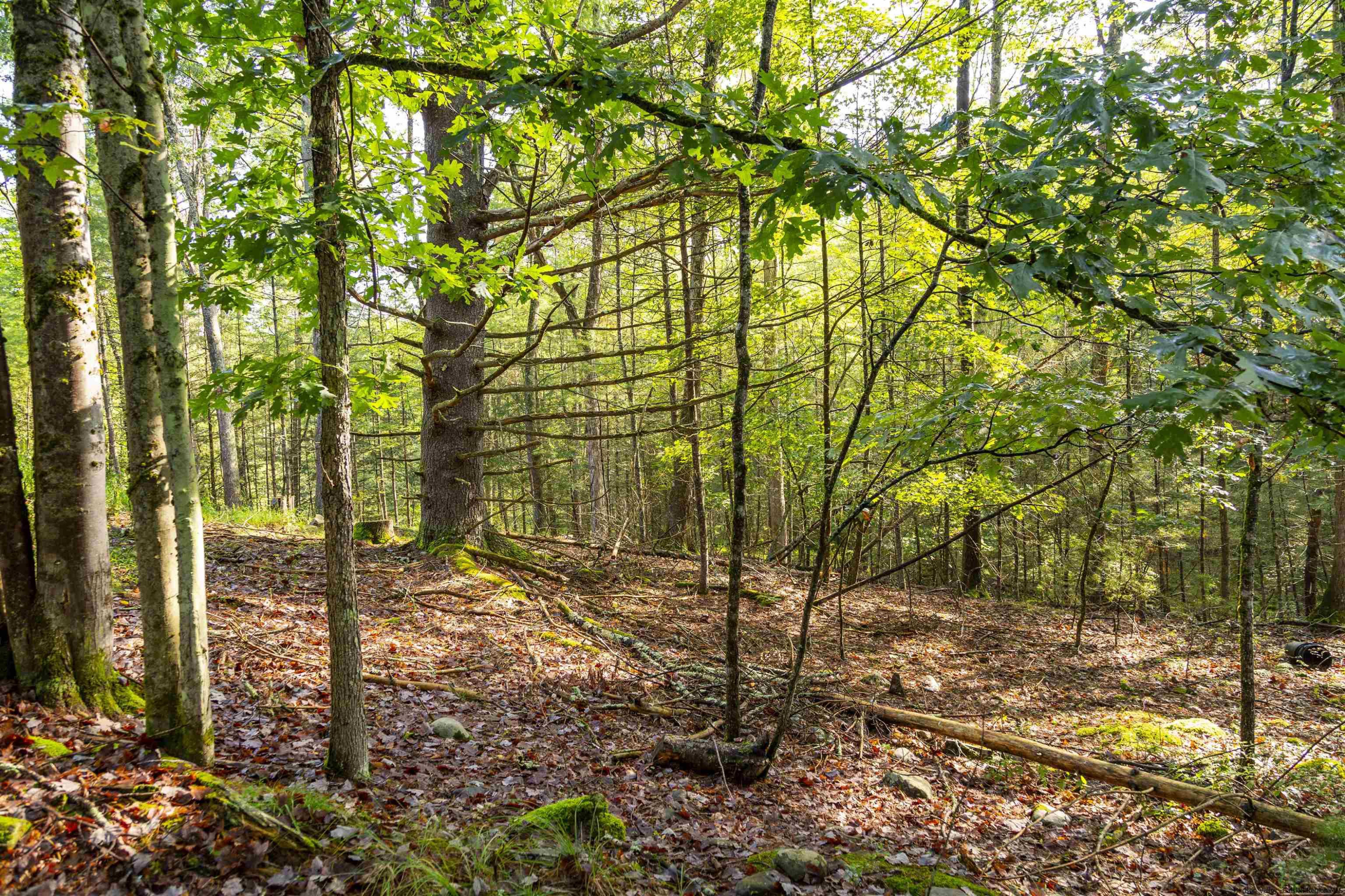000 Pine Grove Road