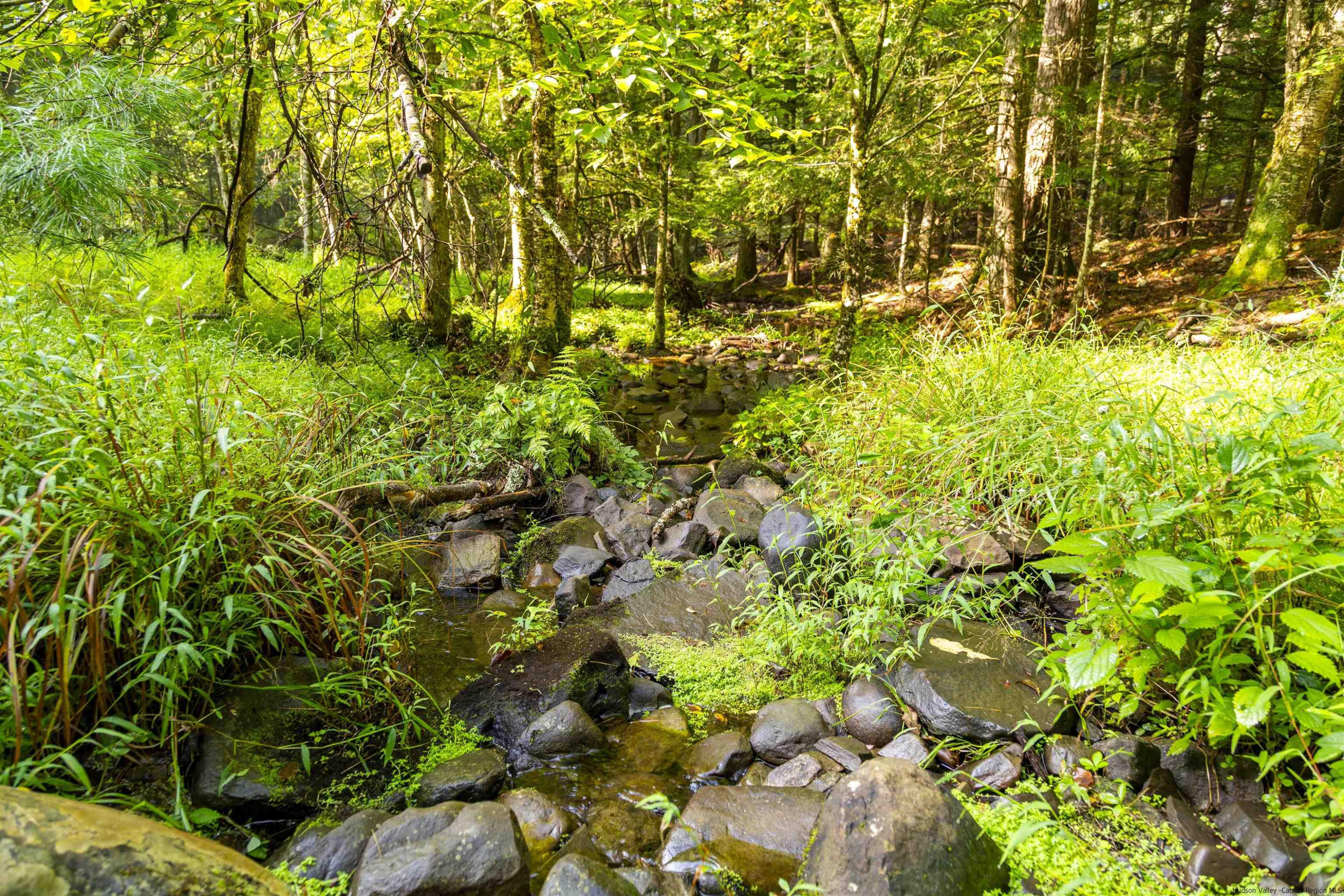 000 Pine Grove Road
