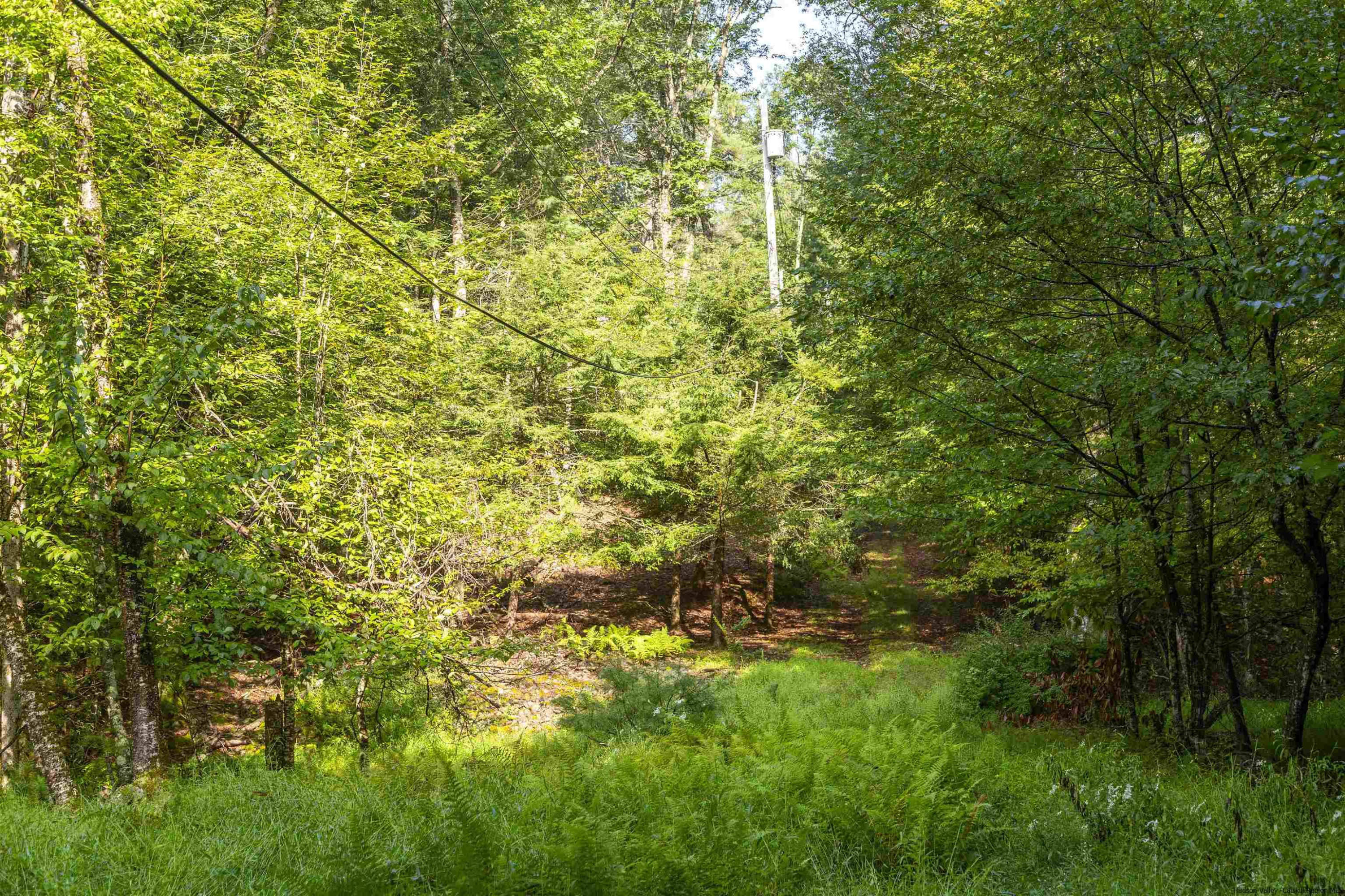 000 Pine Grove Road