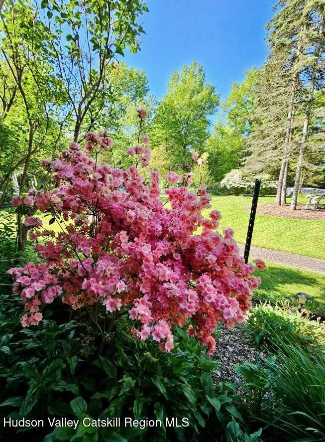 15 Unity Lane