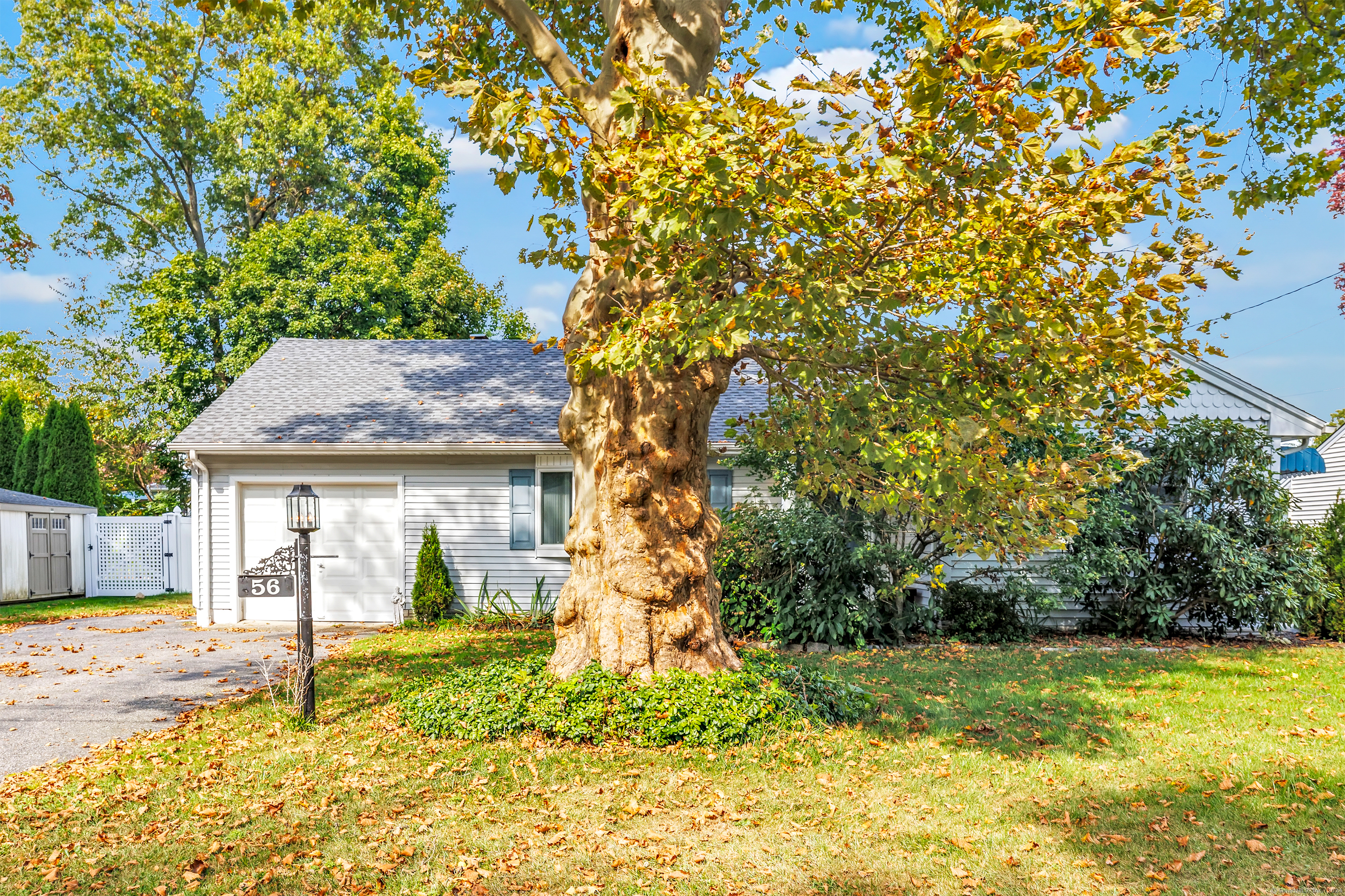 56 Elmsford Road