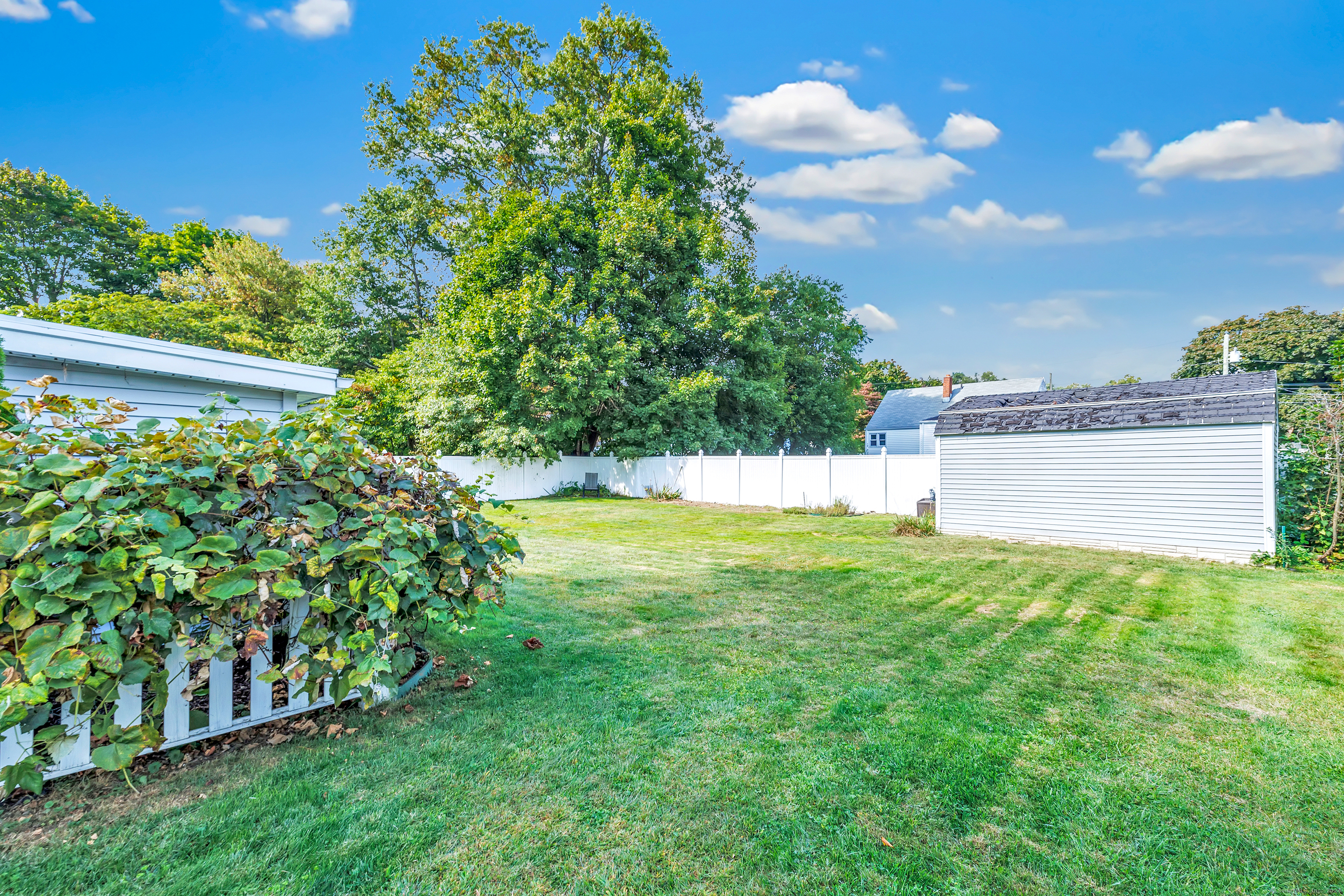 56 Elmsford Road