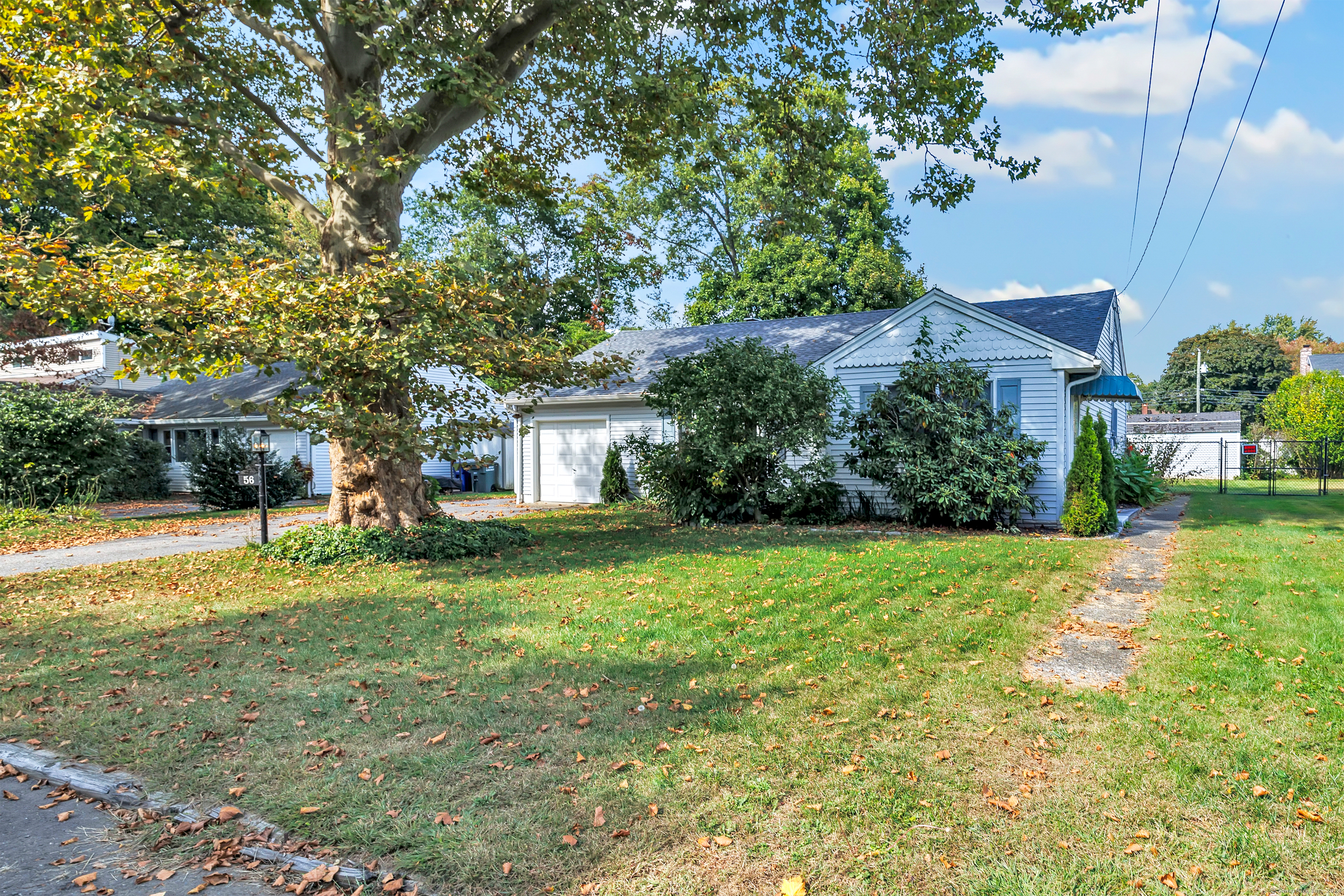 56 Elmsford Road