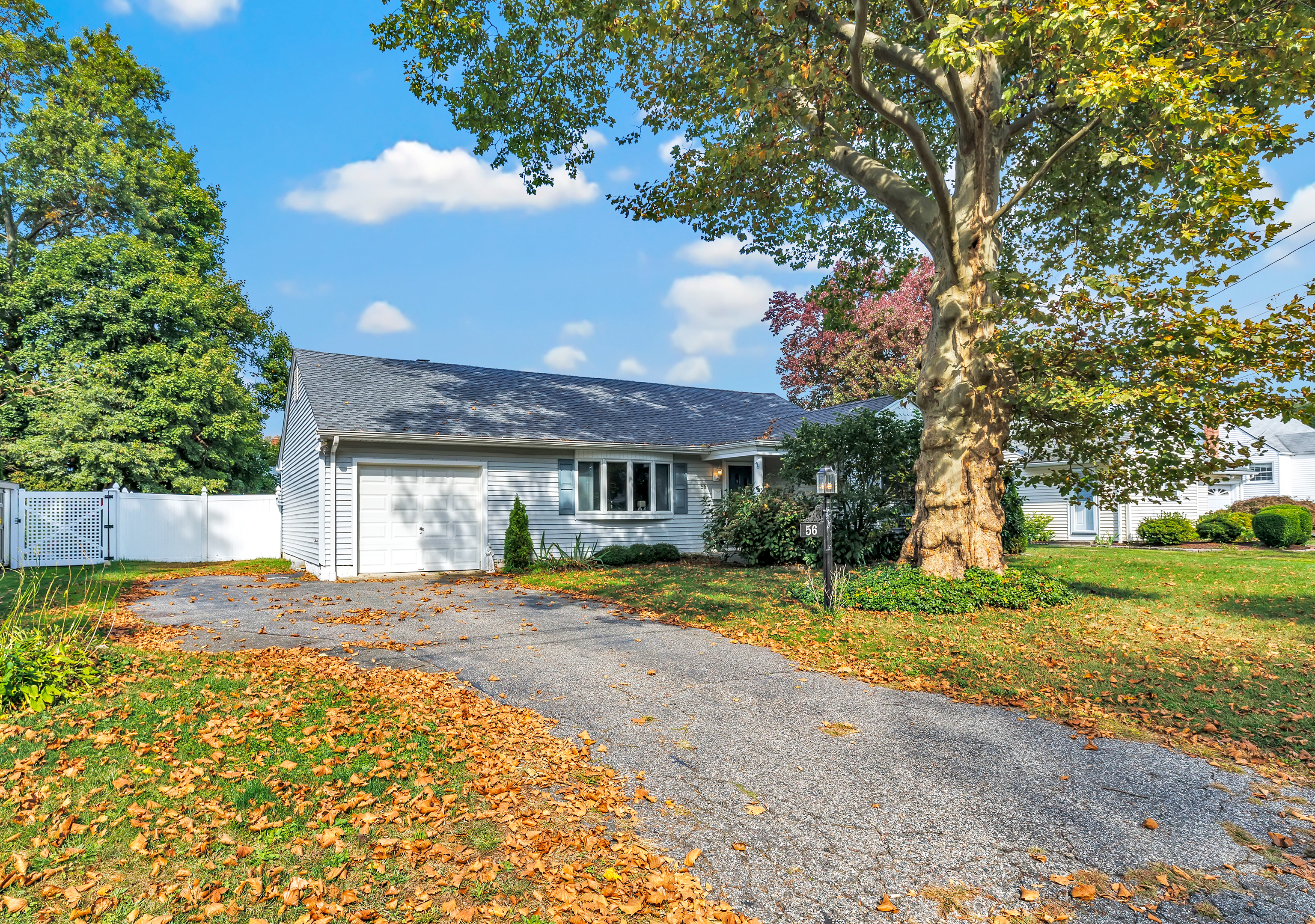 56 Elmsford Road