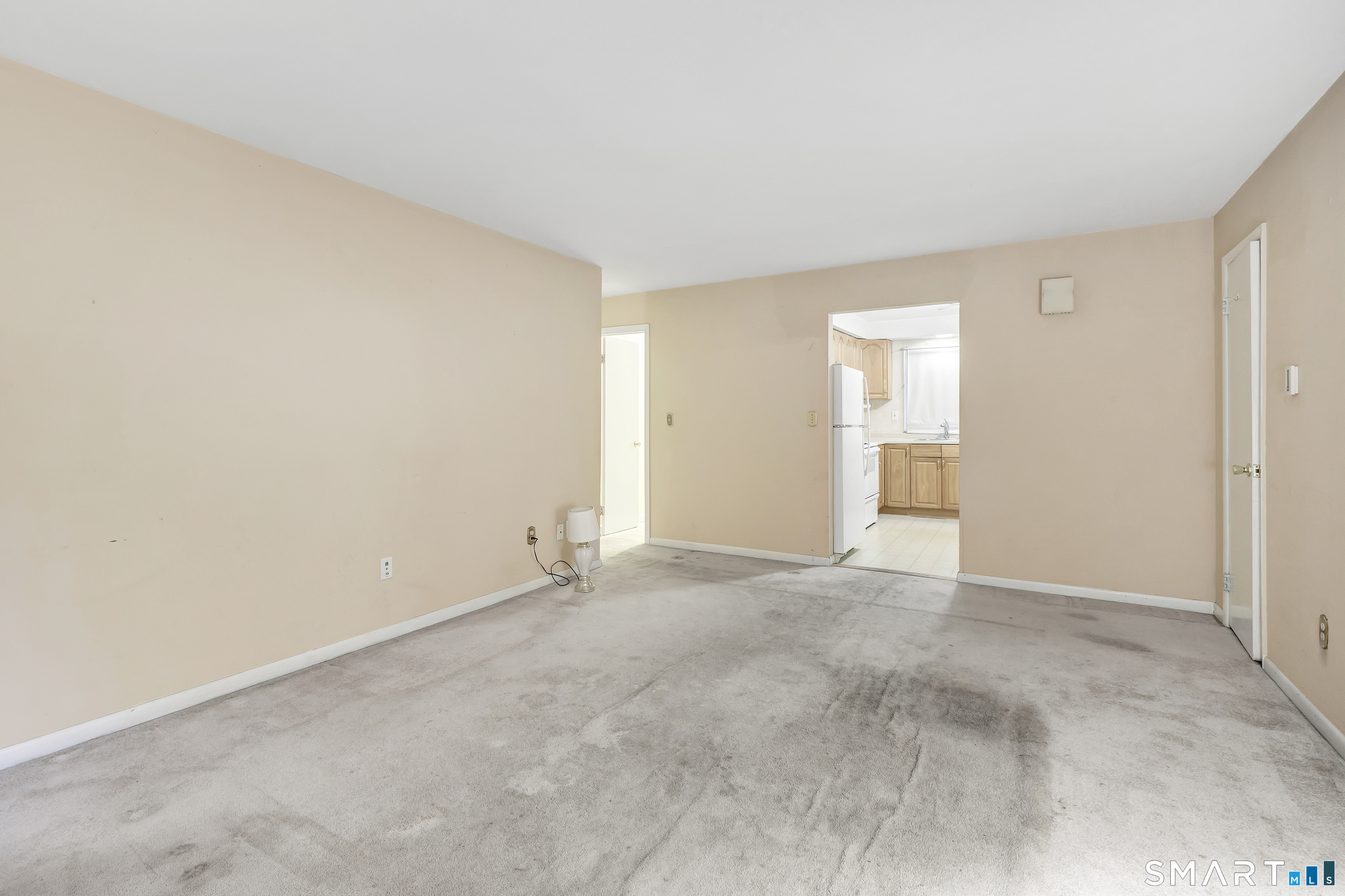 56 Wakelee Ave Extension 29