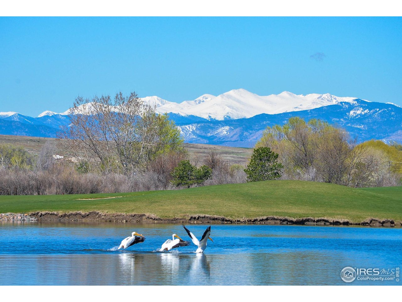 2178 Cape Hatteras Dr 24-6