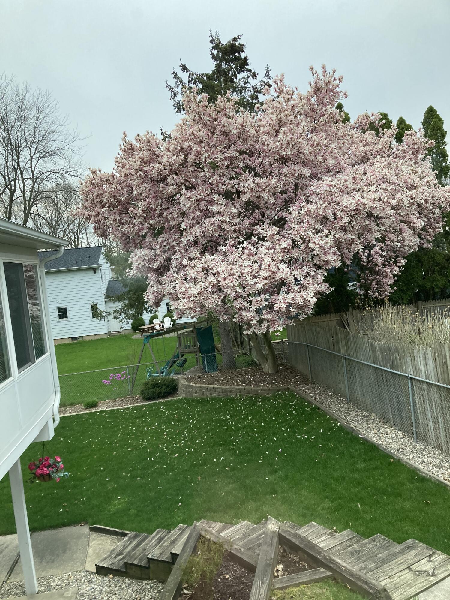 1921 Camille Drive SE