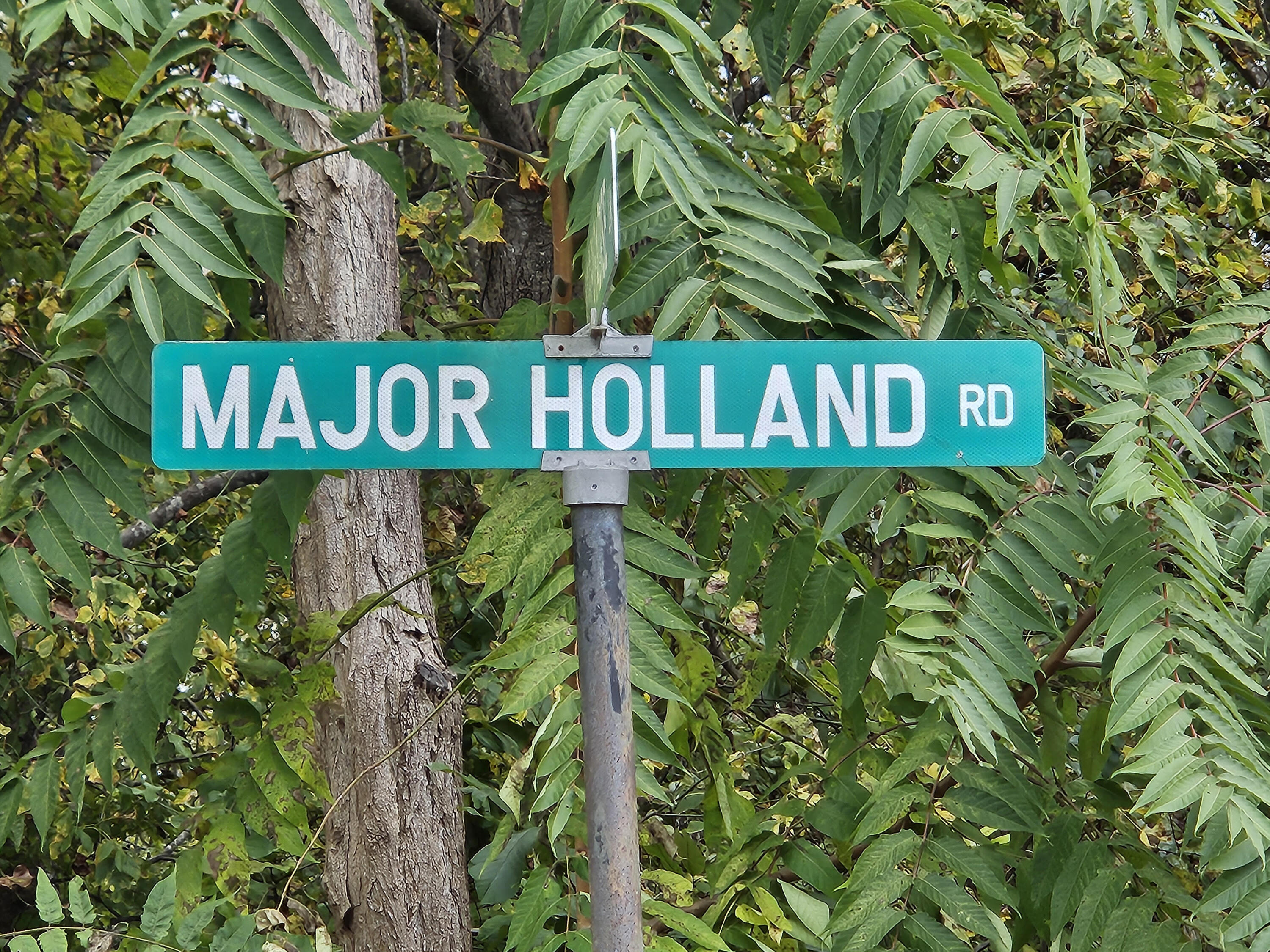 Lot 6 Major Holland RD