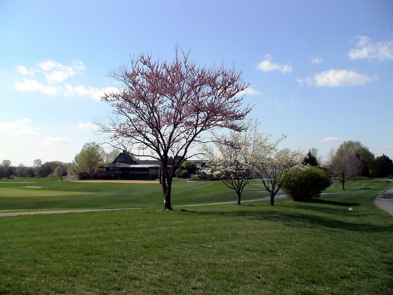 LOT 377 Morgans Mill DR