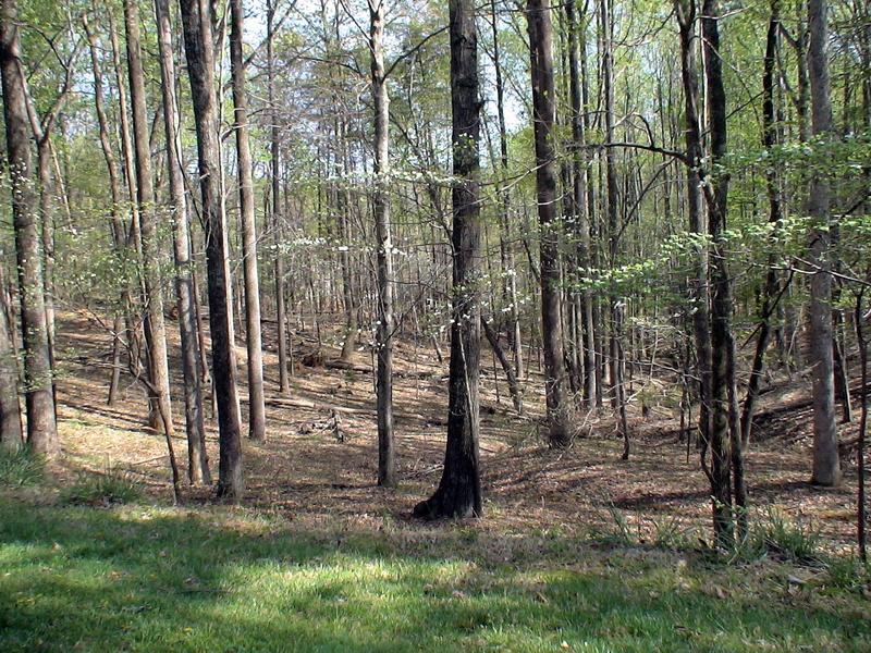 LOT 377 Morgans Mill DR